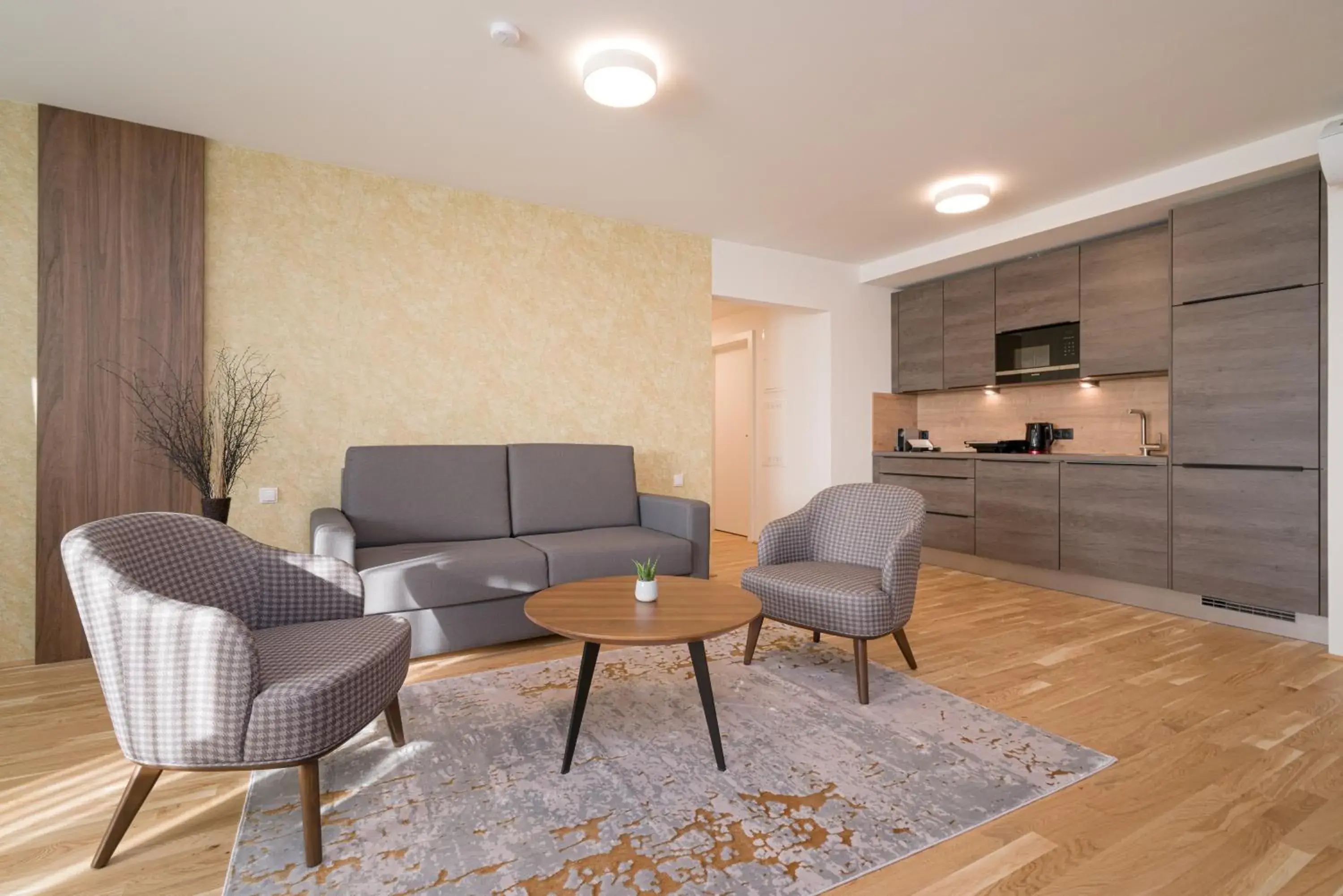 Living room in MyApartments Vienna Living room in MyApartments Vienna