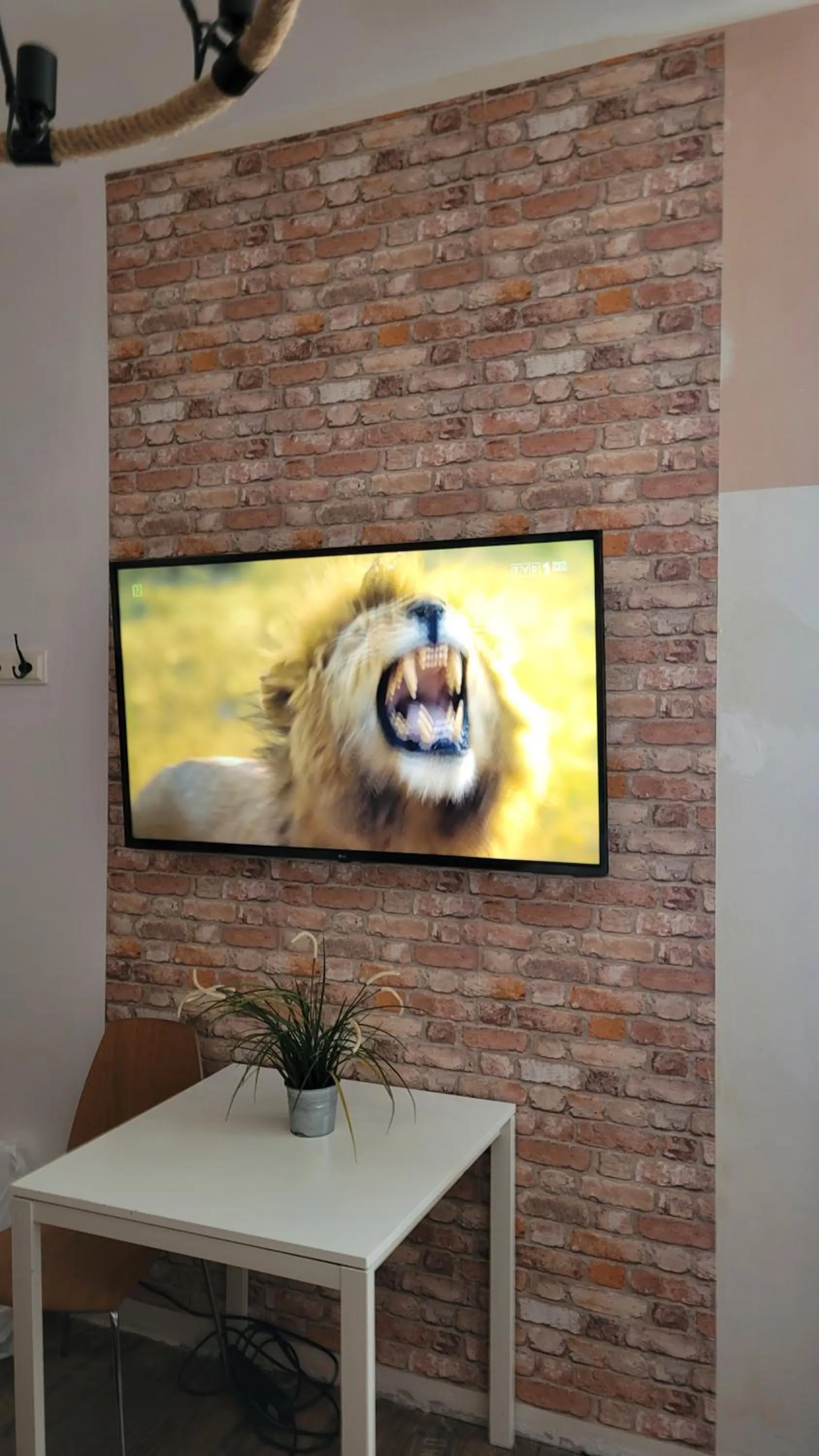 TV and multimedia in Chmielna 5 Rooms & Apartments