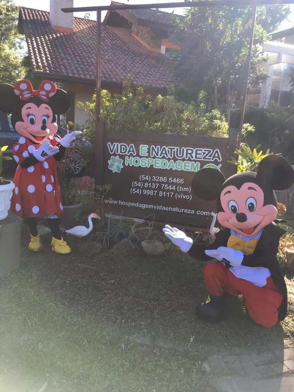 Hospedagem Vida e Natureza Hospedagem Vida e Natureza