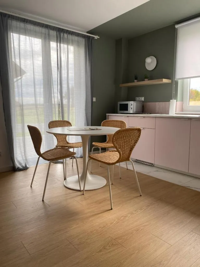 Kitchen or kitchenette in Apartamenty przy Winnicy