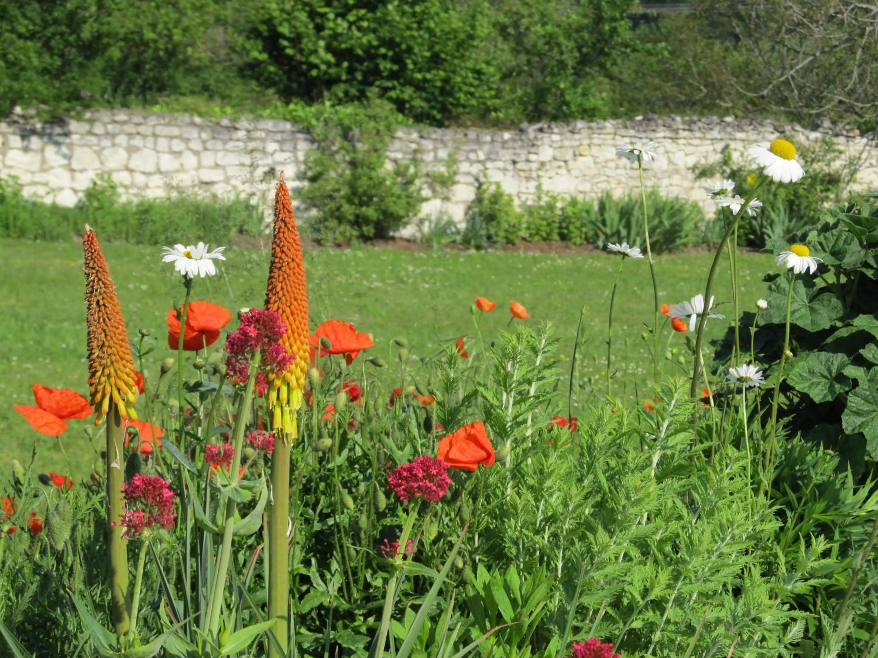 Garden in Le Clos de la Garde