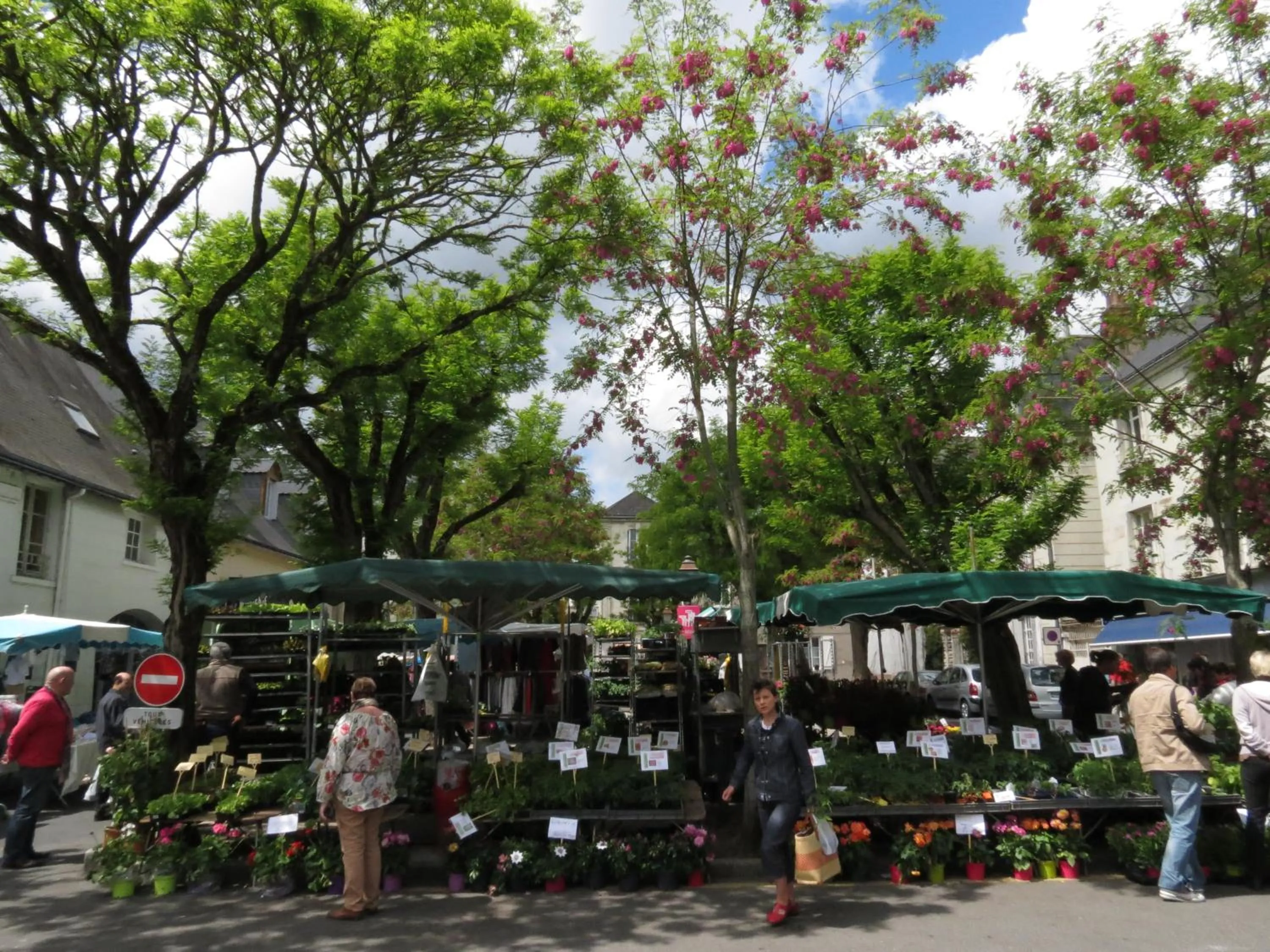 Shopping Area in Le Clos de la Garde
