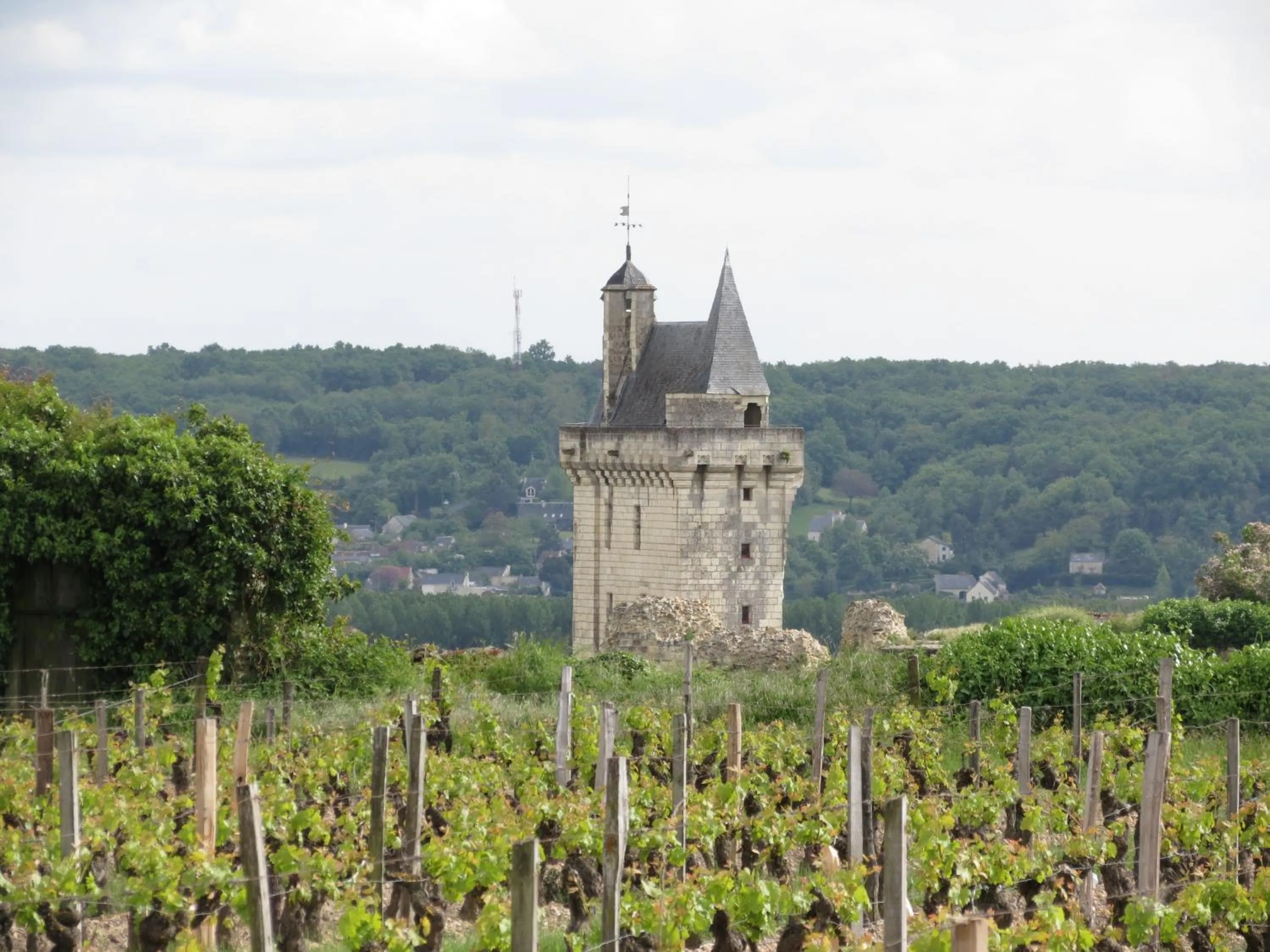 Natural landscape in Le Clos de la Garde