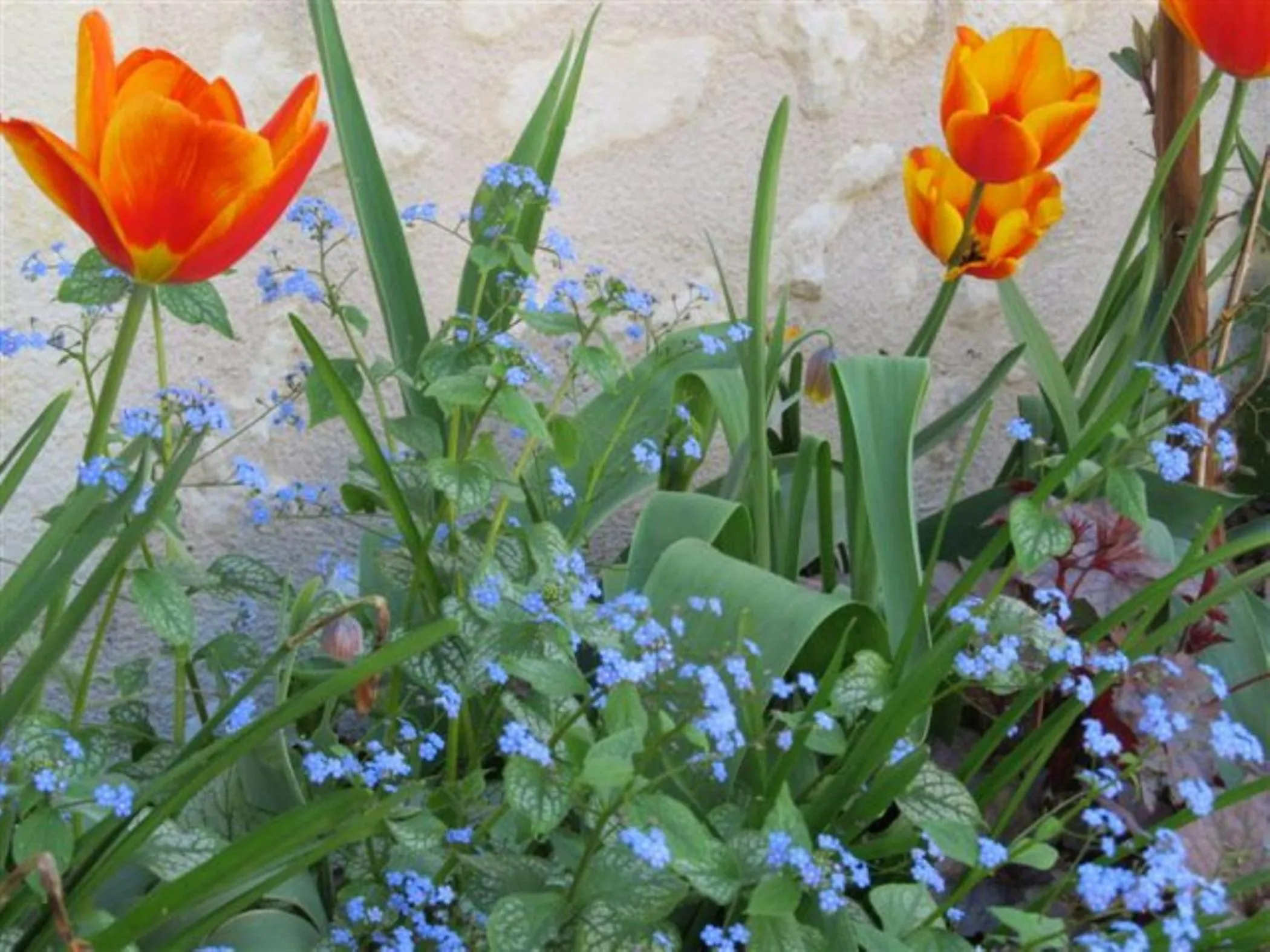 Garden view in Le Clos de la Garde