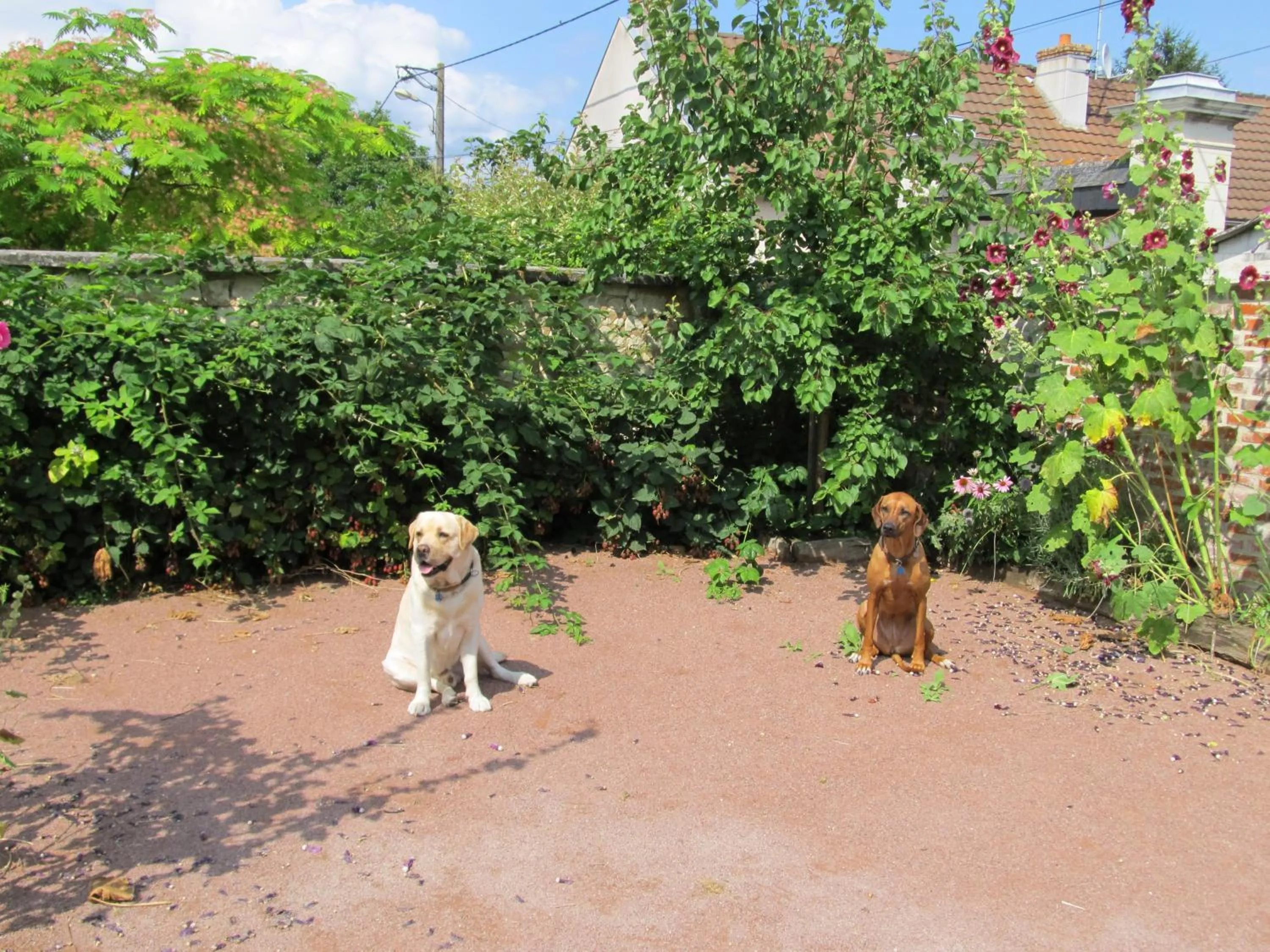 Pets in Le Clos de la Garde