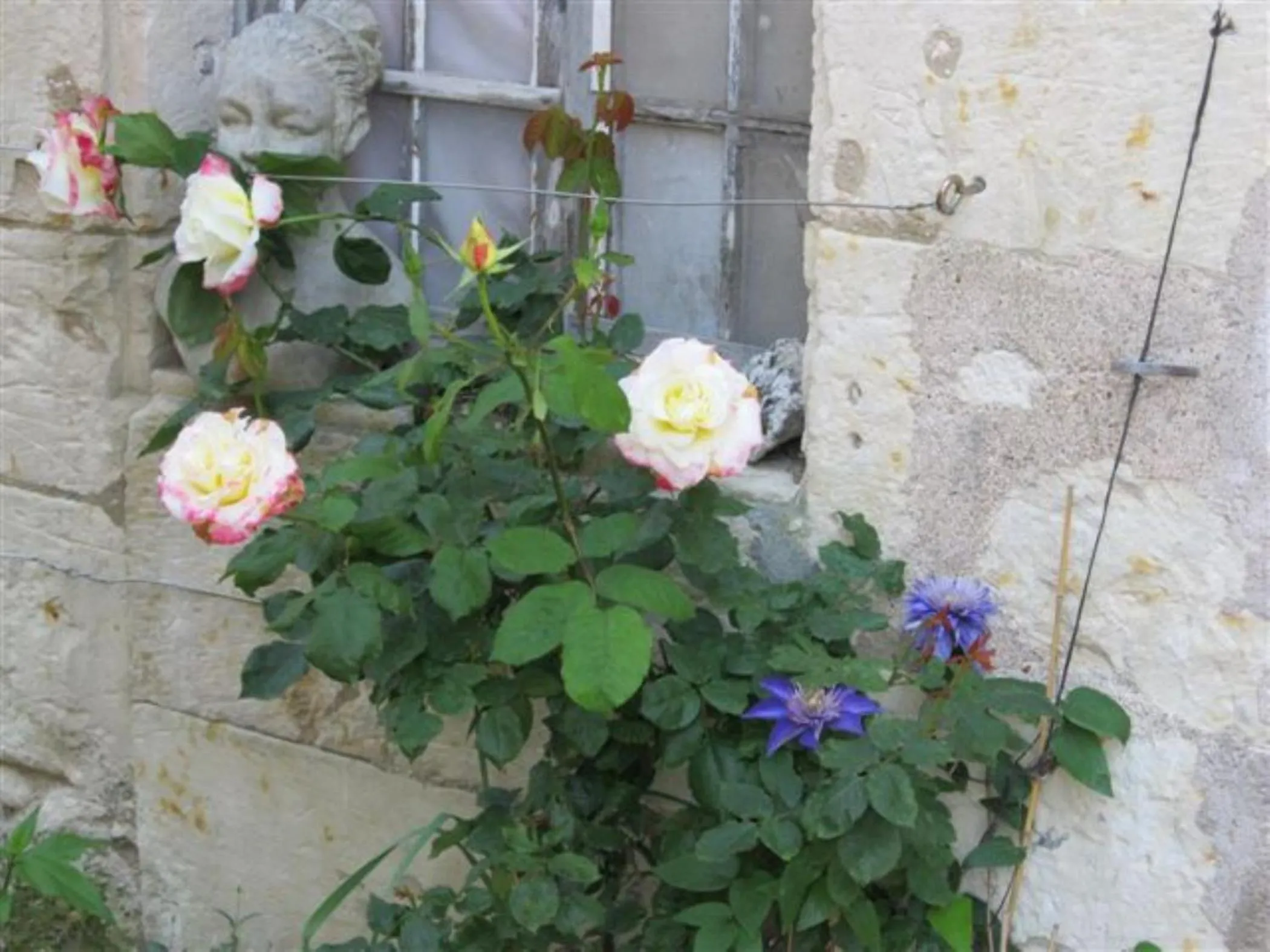 Garden view in Le Clos de la Garde