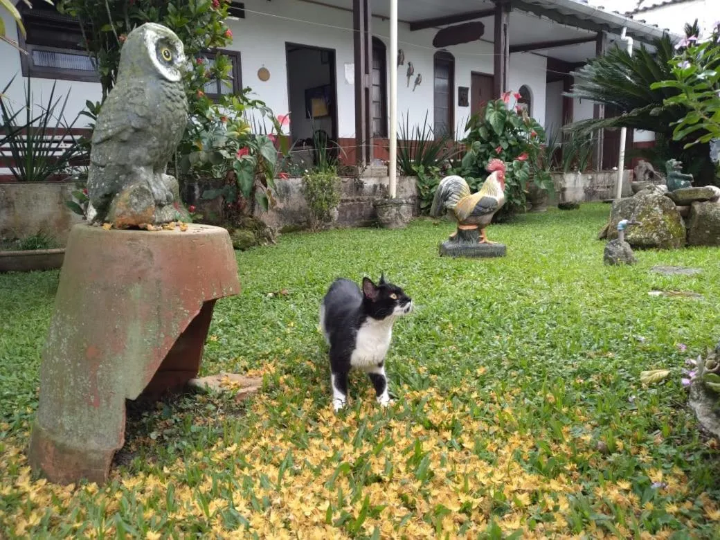 Cantinho da Geisa - suítes mobiliadas