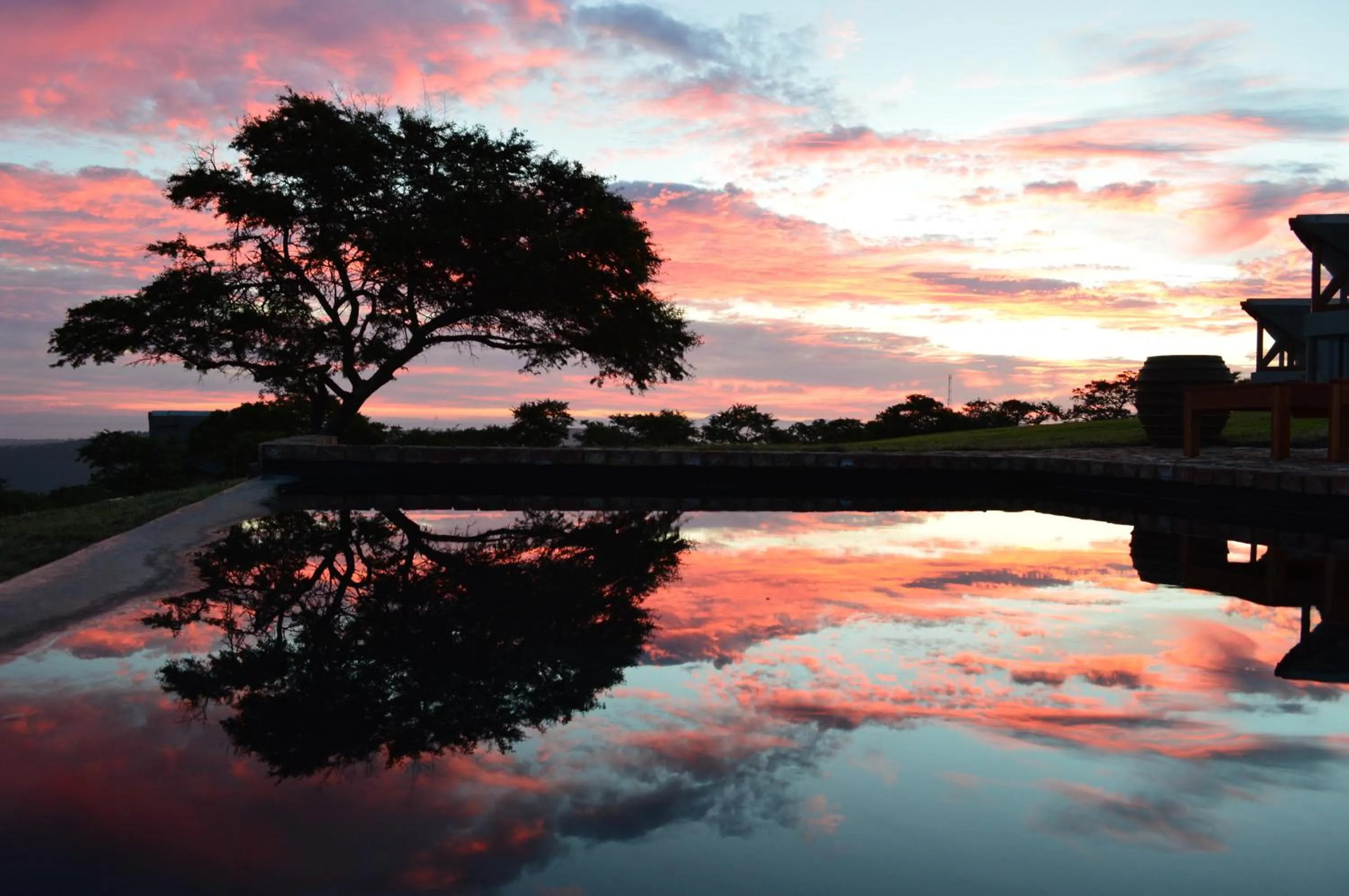 Swimming pool in Jbay Zebra Lodge