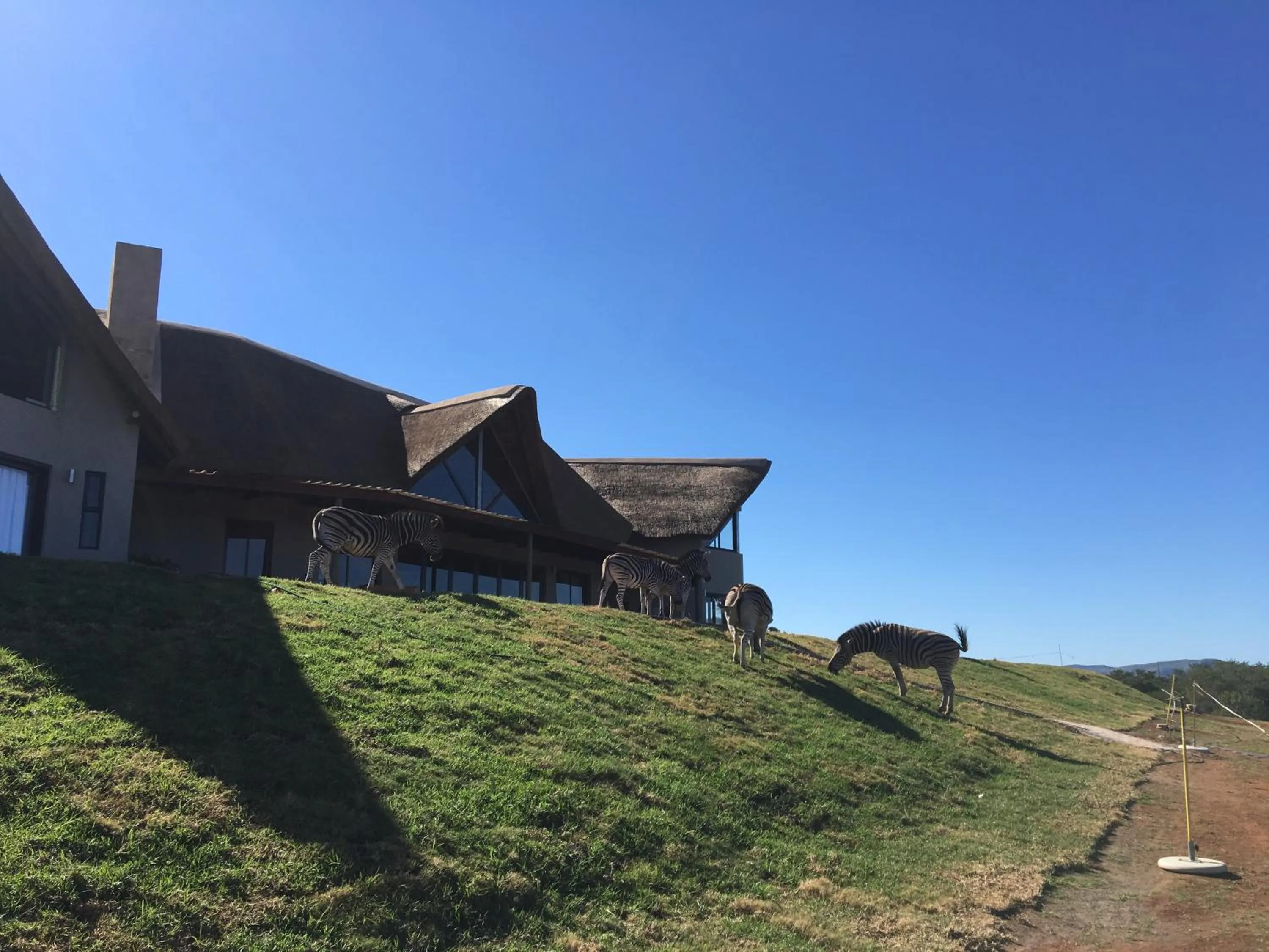 Patio in Jbay Zebra Lodge