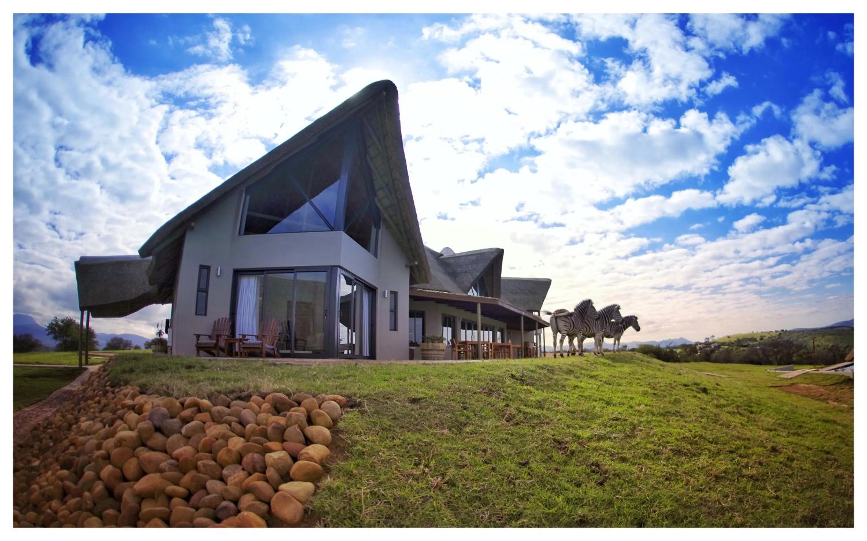 Jbay Zebra Lodge