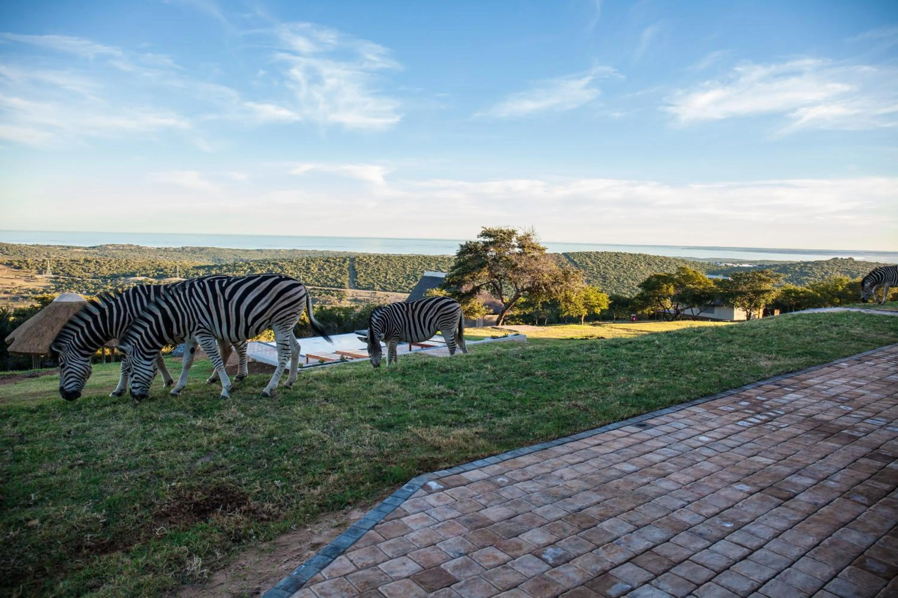 Mountain view in Jbay Zebra Lodge
