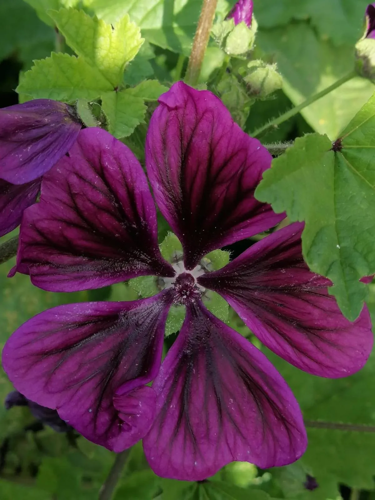 Day in Gasthof Zum Kramer