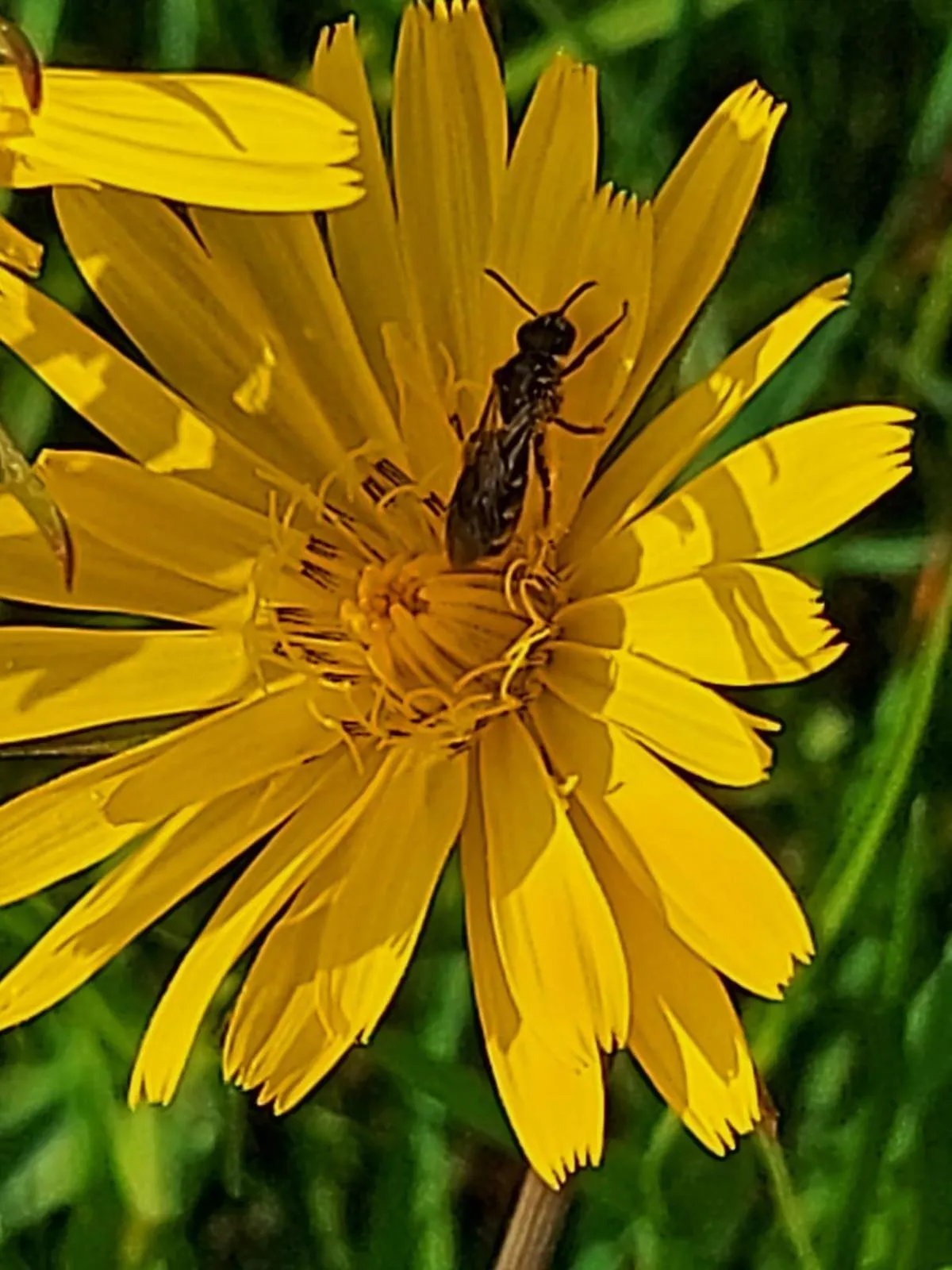 Day in Gasthof Zum Kramer