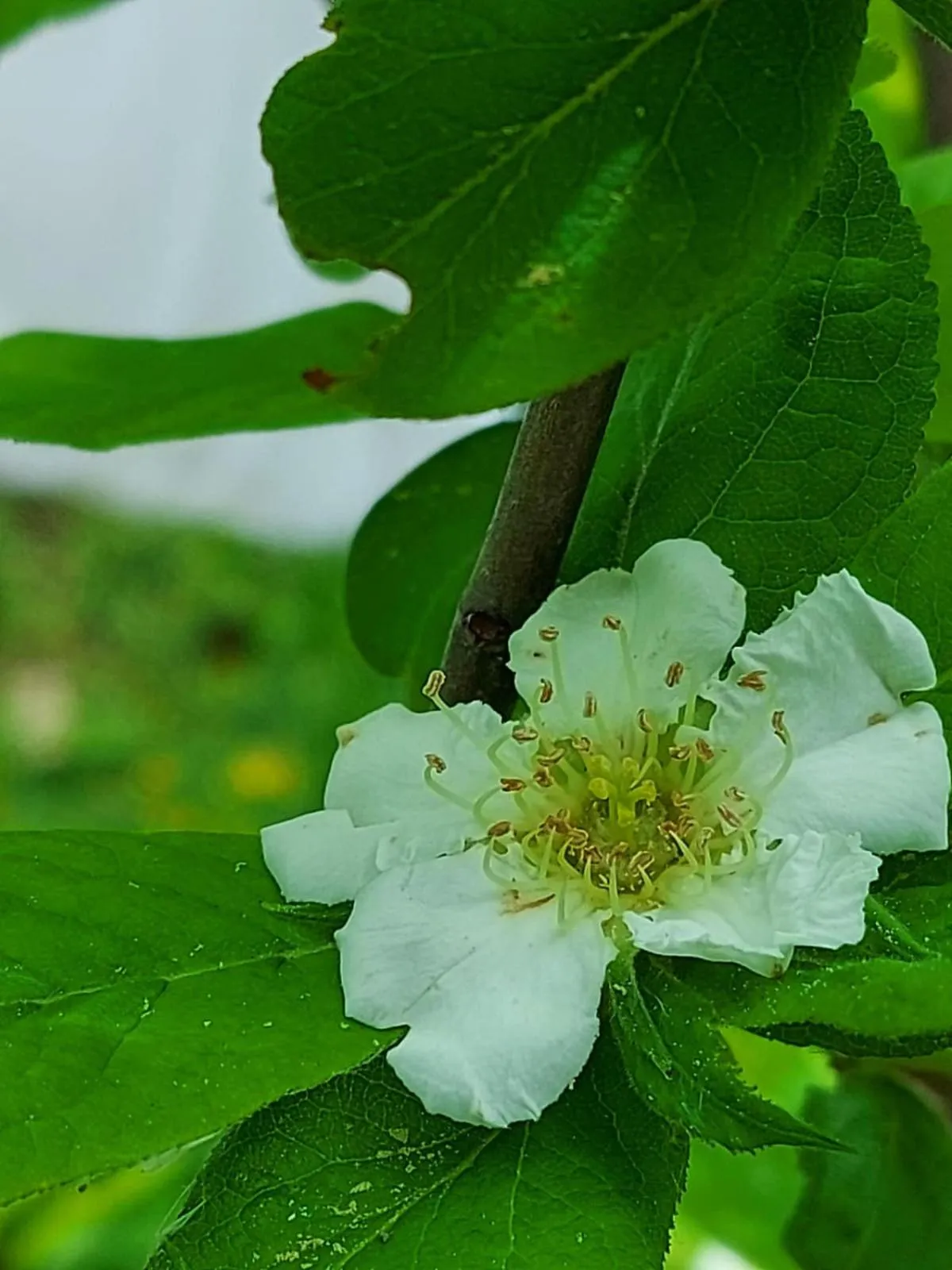 Day in Gasthof Zum Kramer
