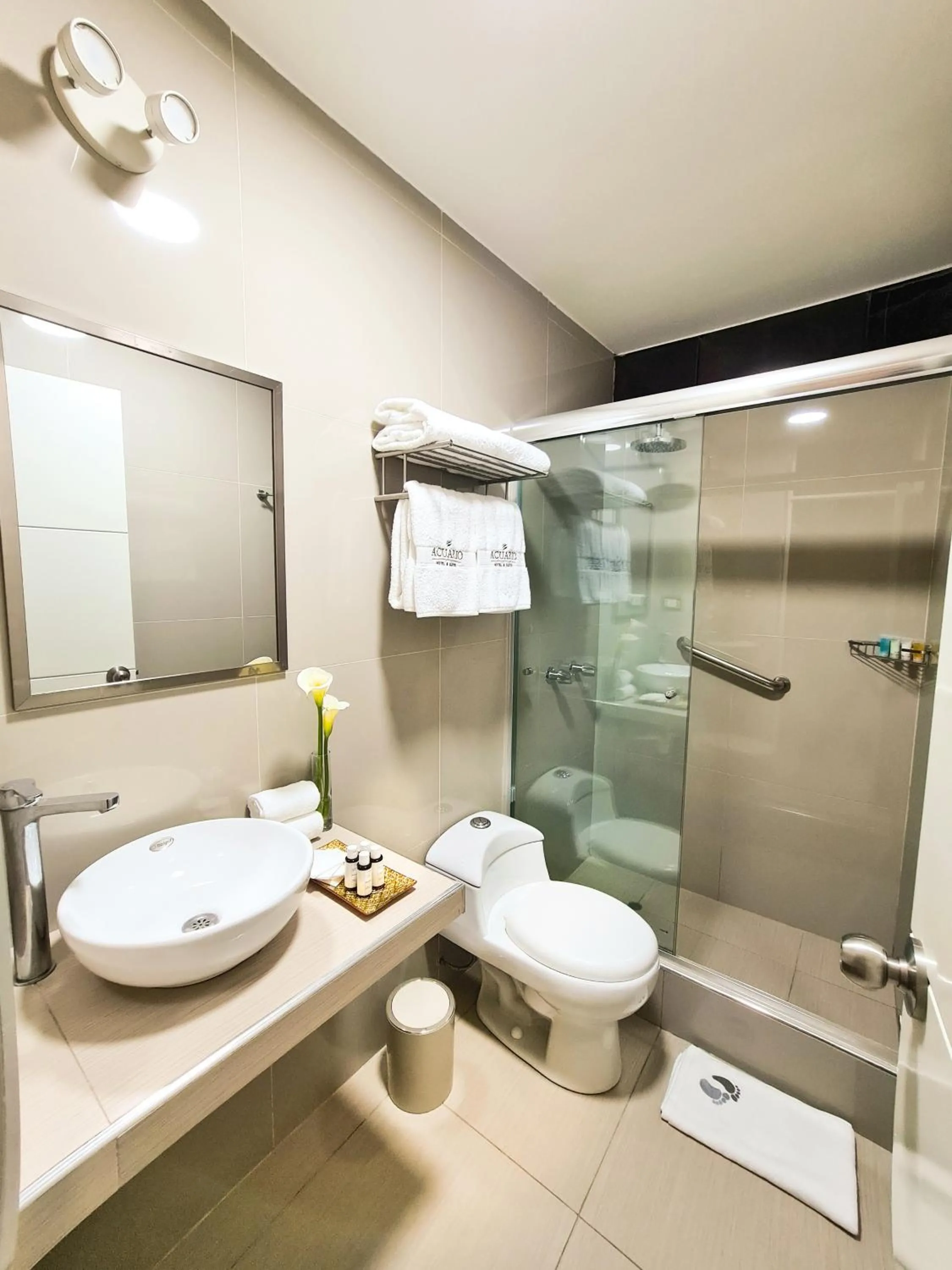 Standard Single Room in Acuario Hotel & Suite