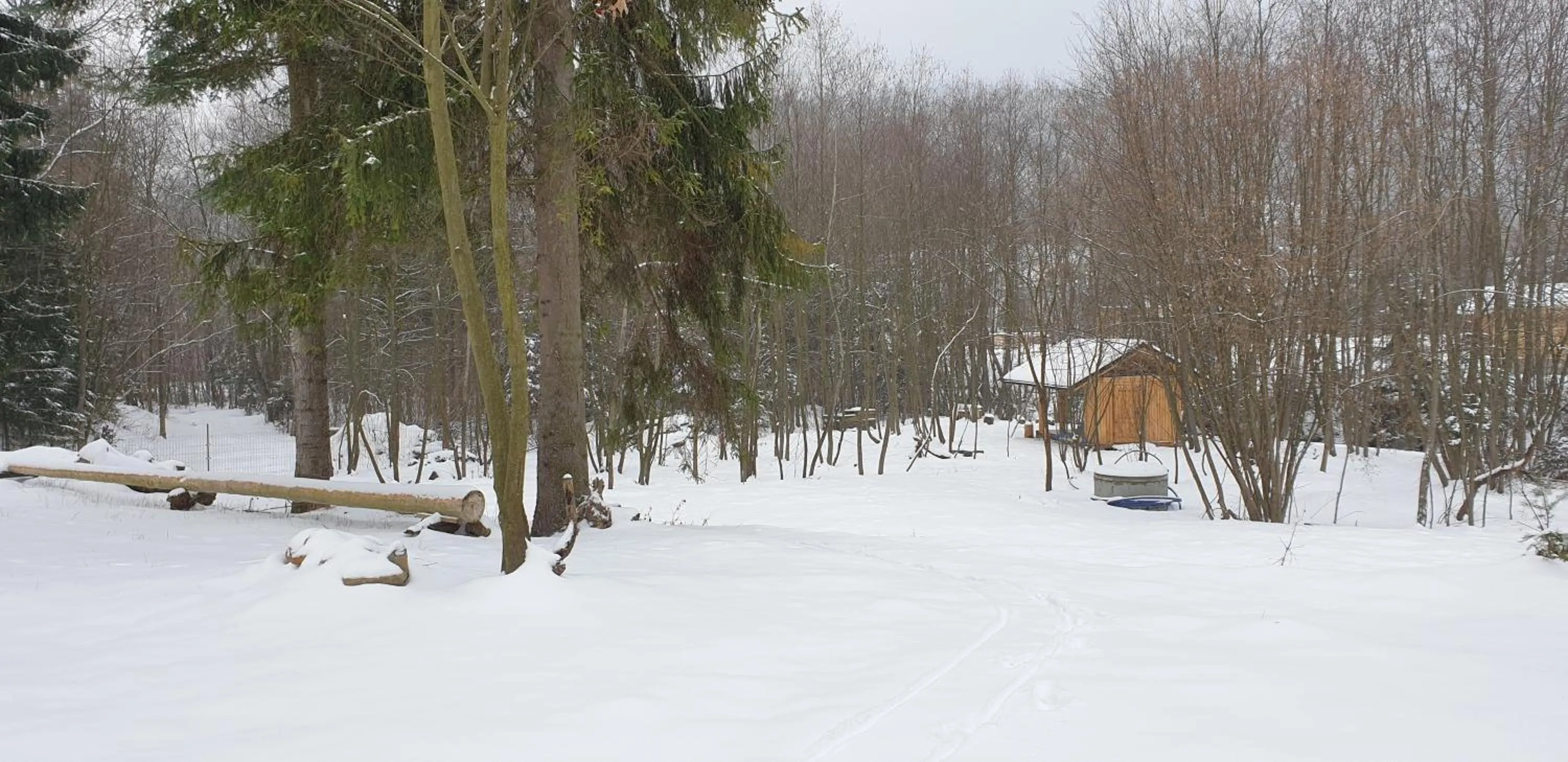 Winter in Rezydencja Barrettski