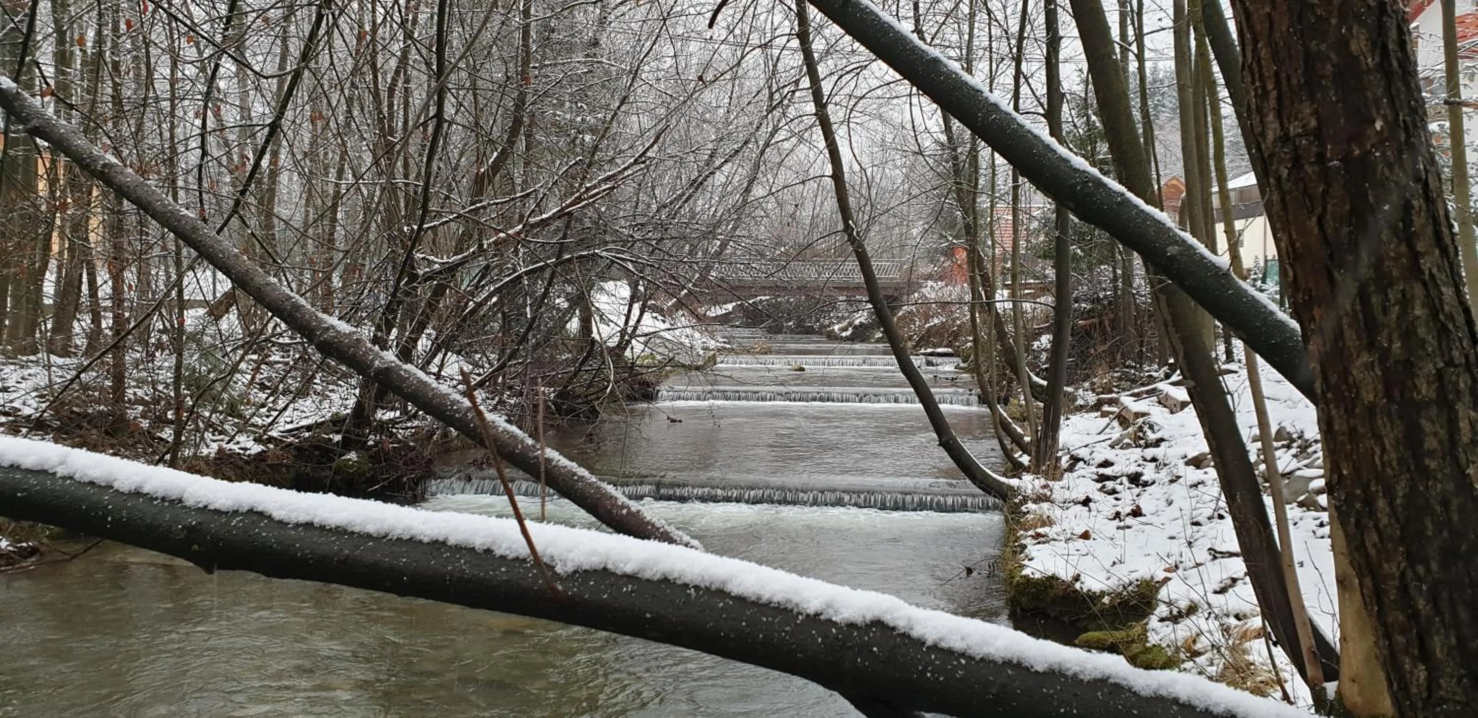 Natural landscape in Rezydencja Barrettski