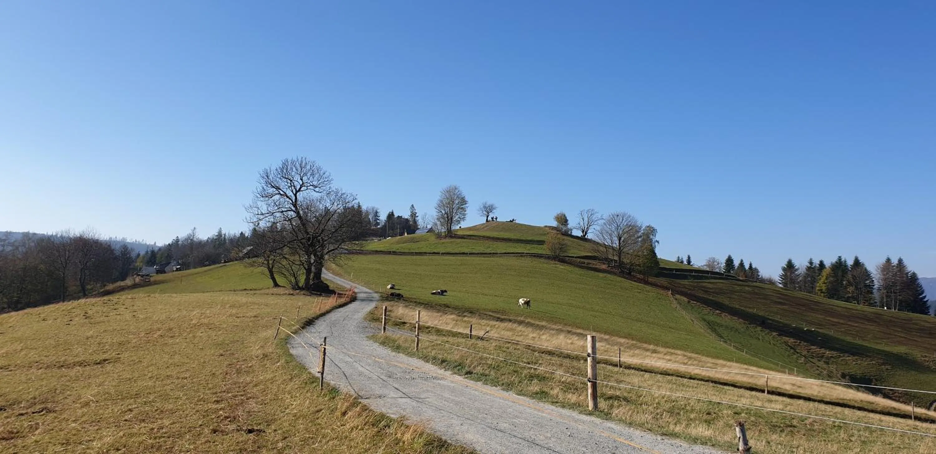 Natural landscape in Rezydencja Barrettski