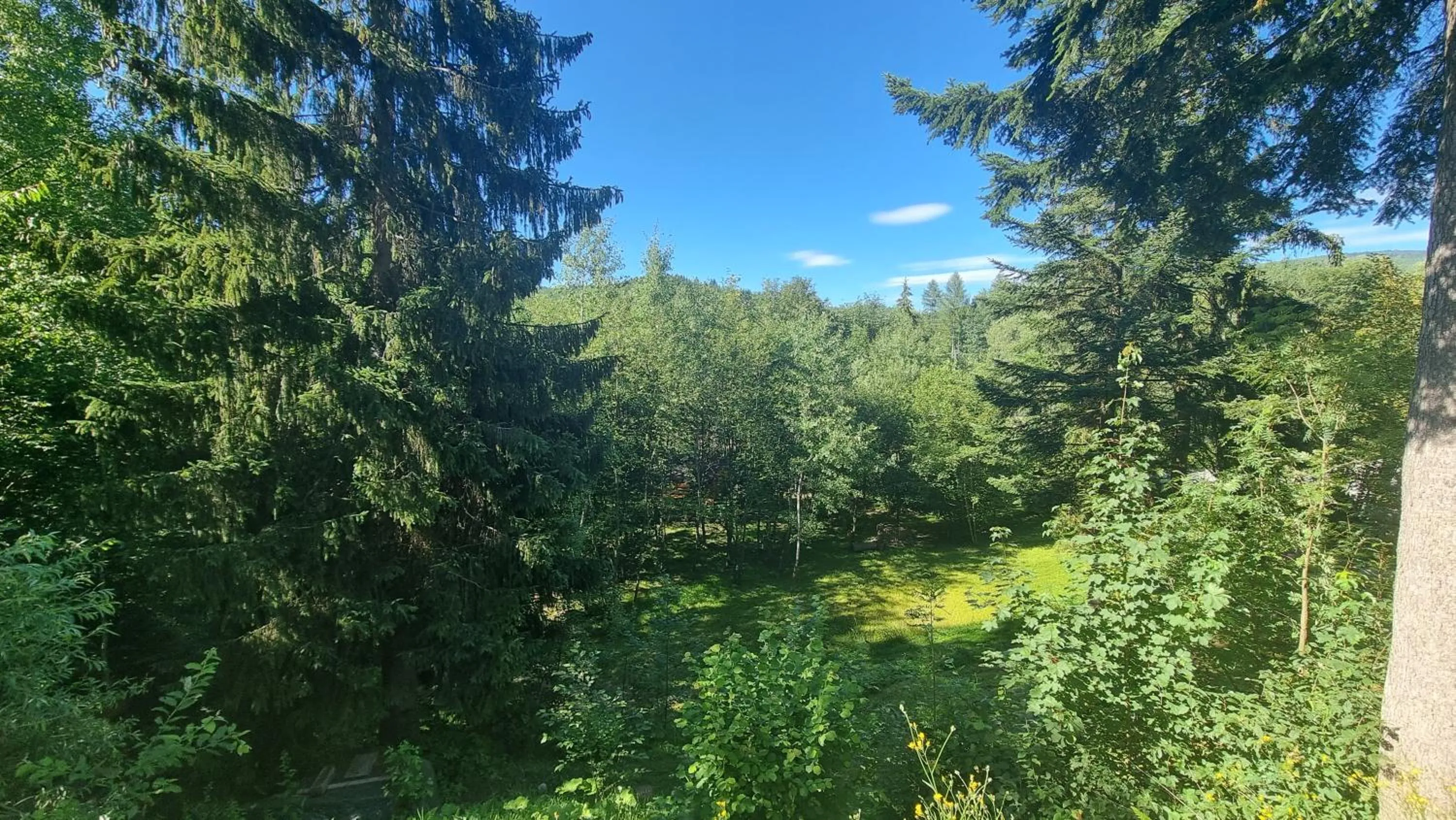 Garden view in Rezydencja Barrettski