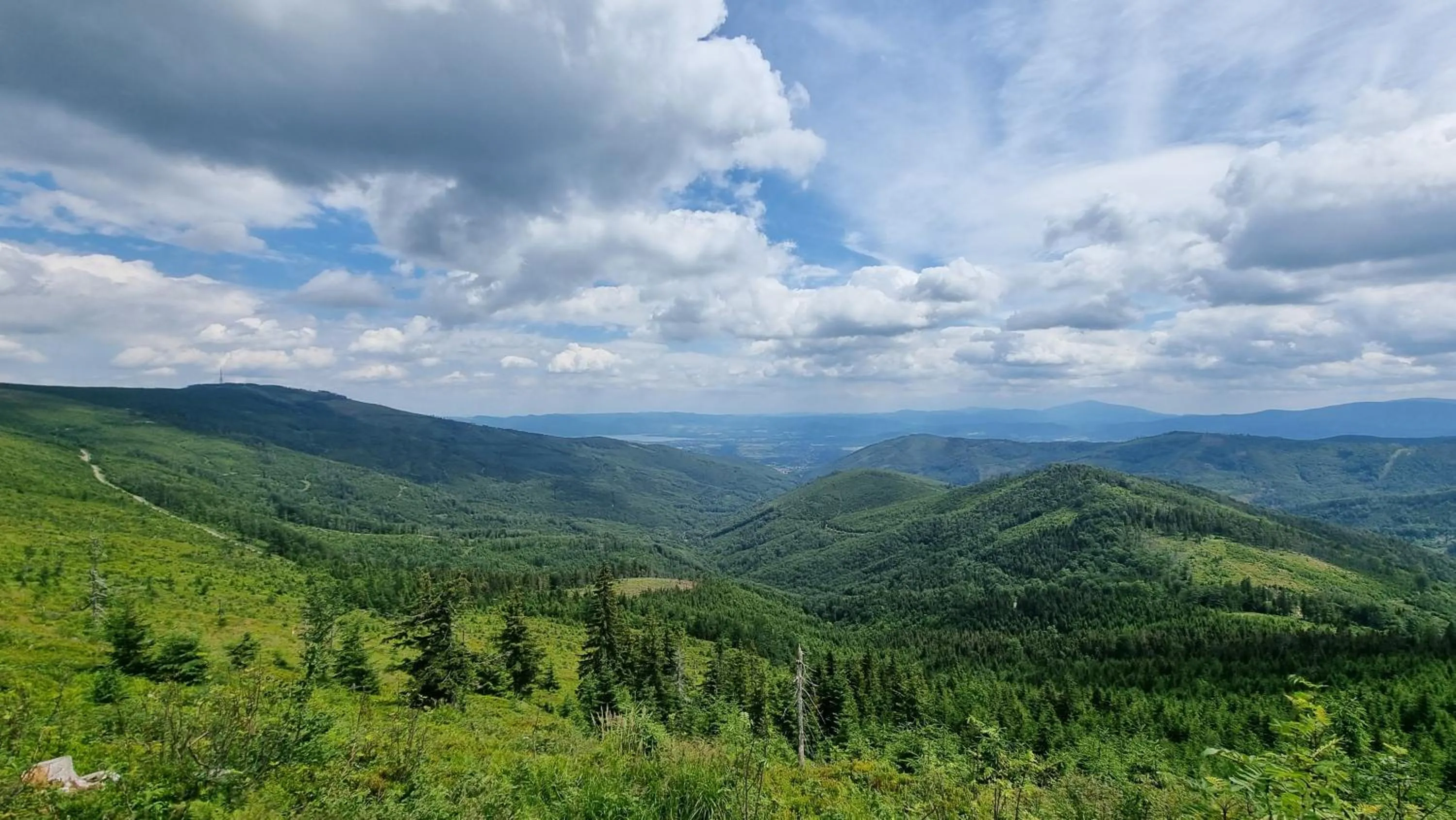Natural landscape in Rezydencja Barrettski