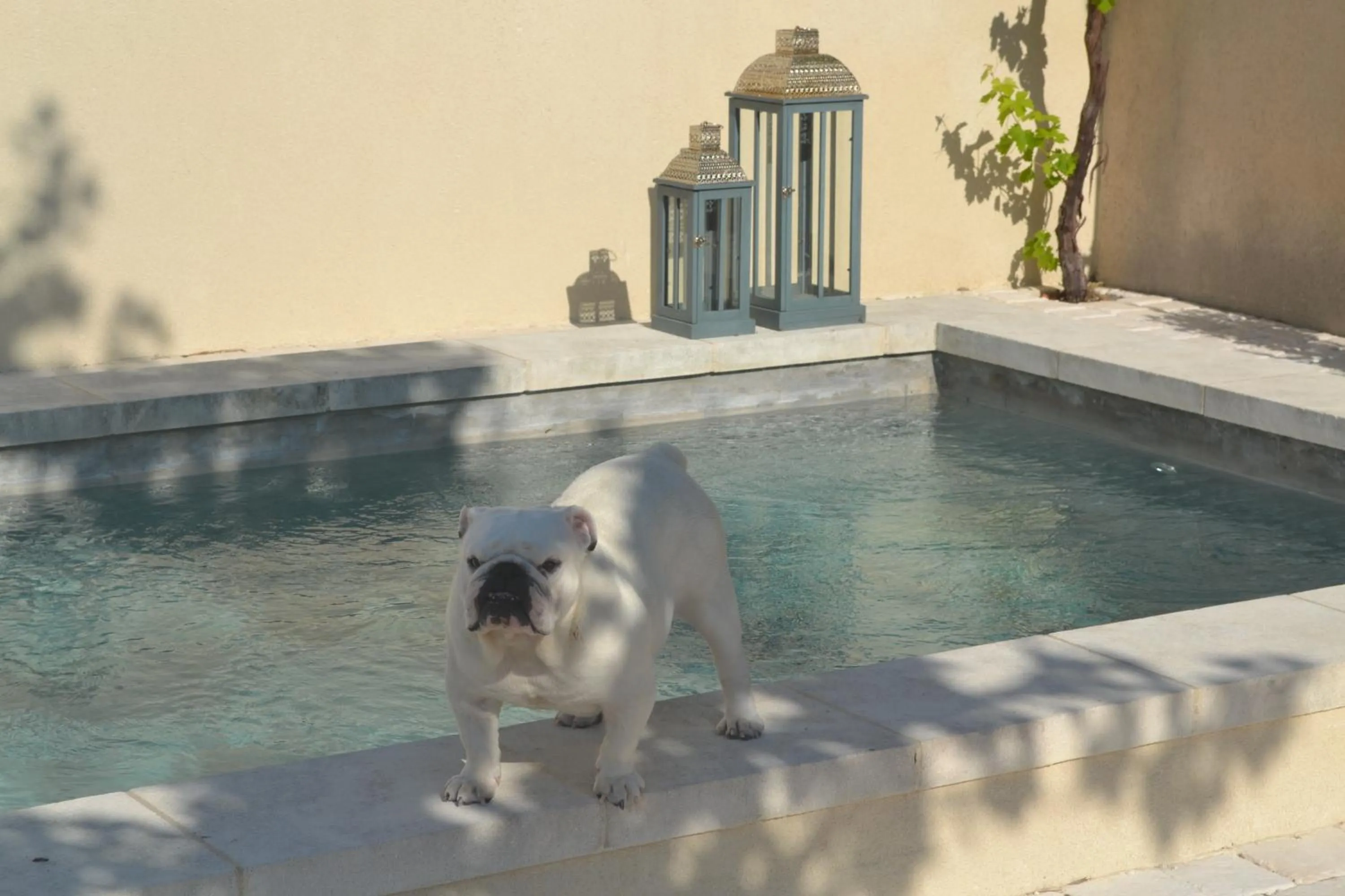 Day in Mas À l'Improviste