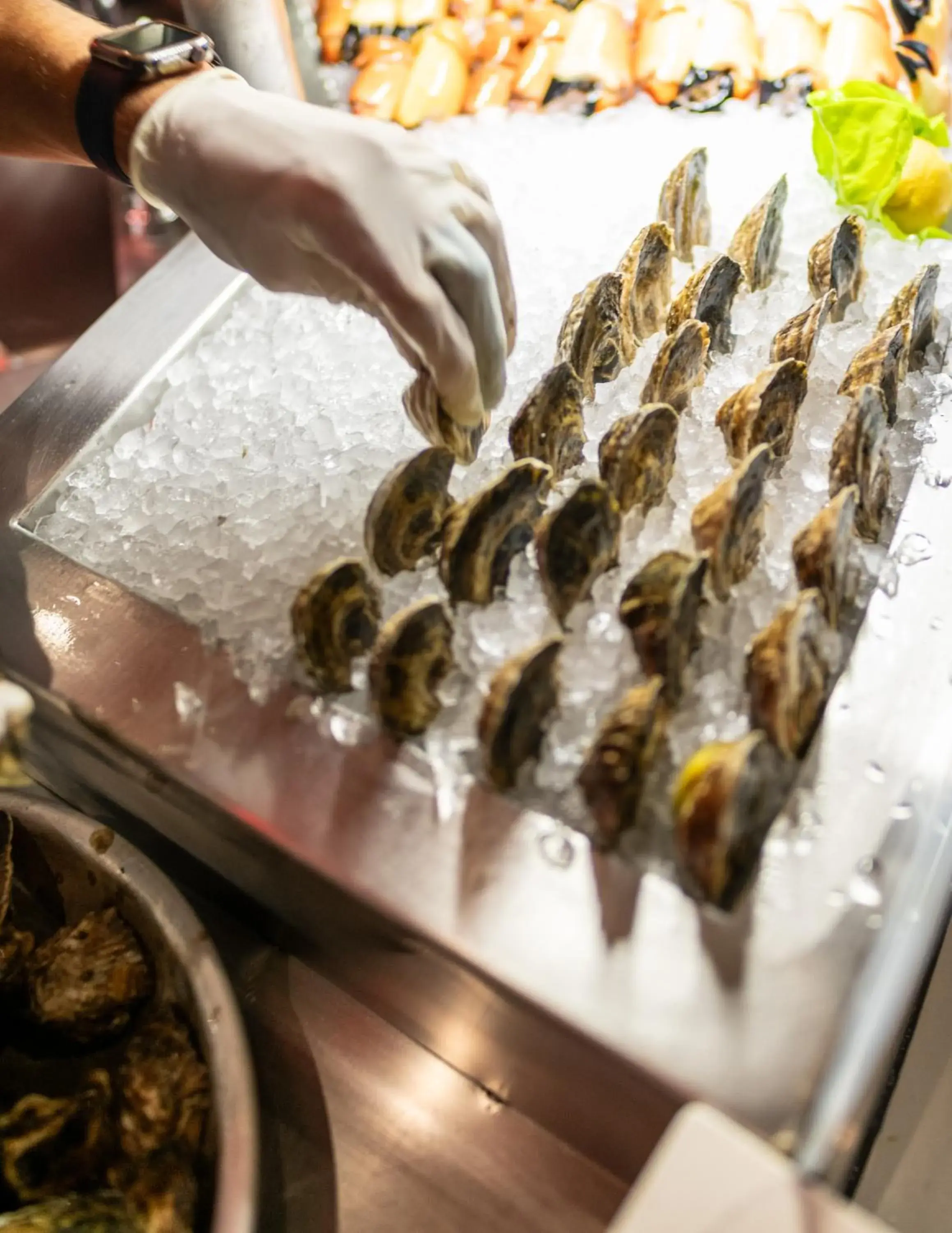 Restaurant/places to eat in Bellasera Resort Restaurant/places to eat in Bellasera Resort