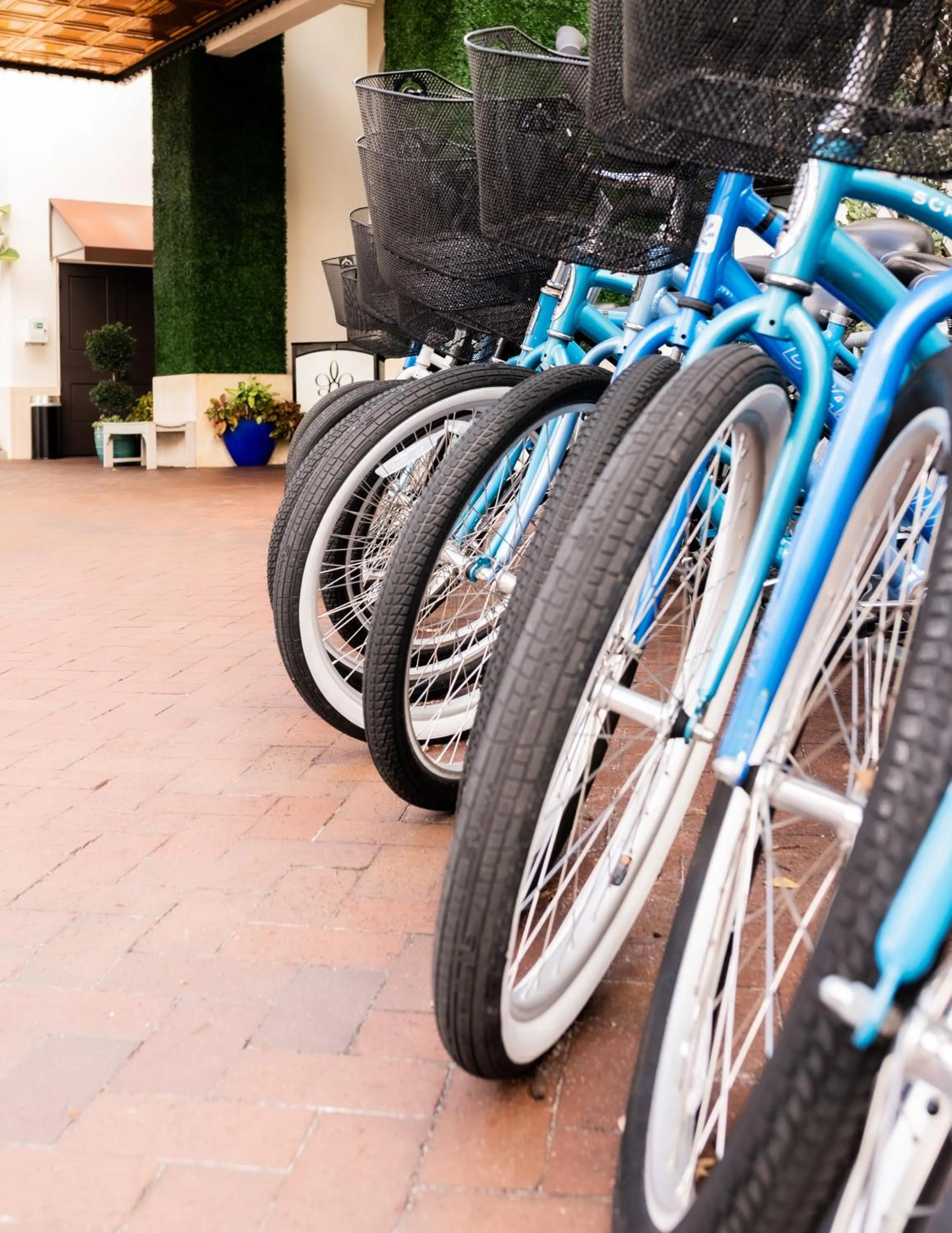 Activities in Bellasera Resort