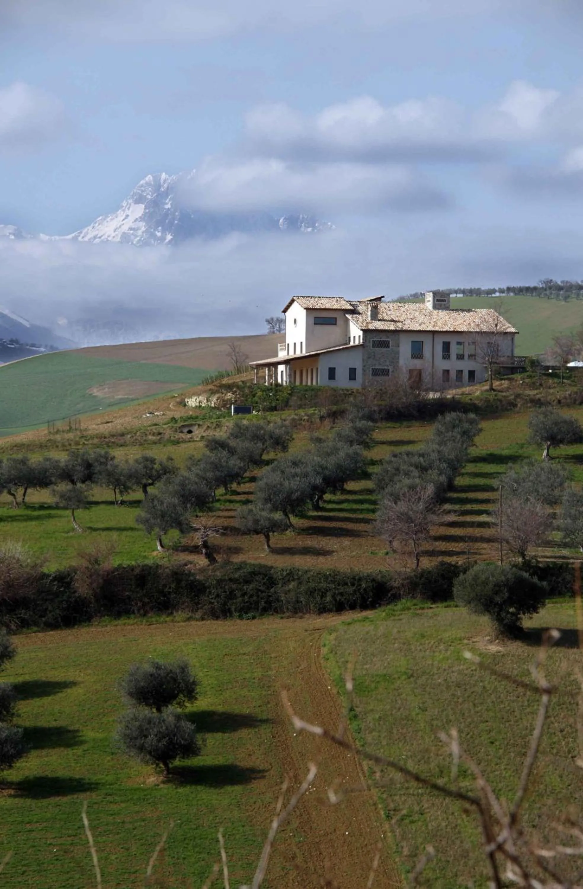 Agriturismo Cignale della Società Agricola Cignale srl