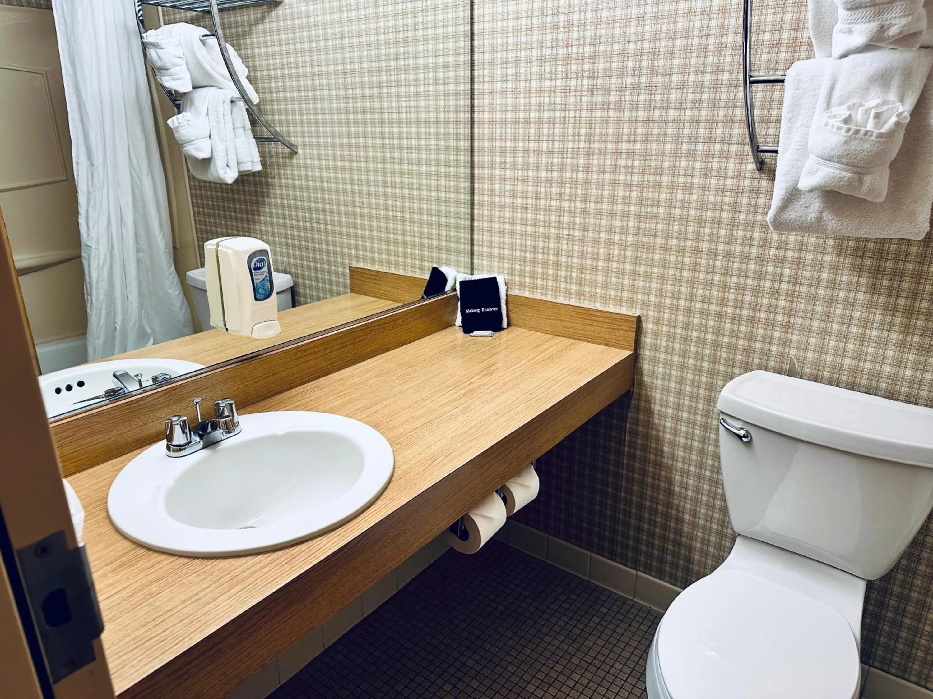 Bathroom in Ivey's Motor Lodge