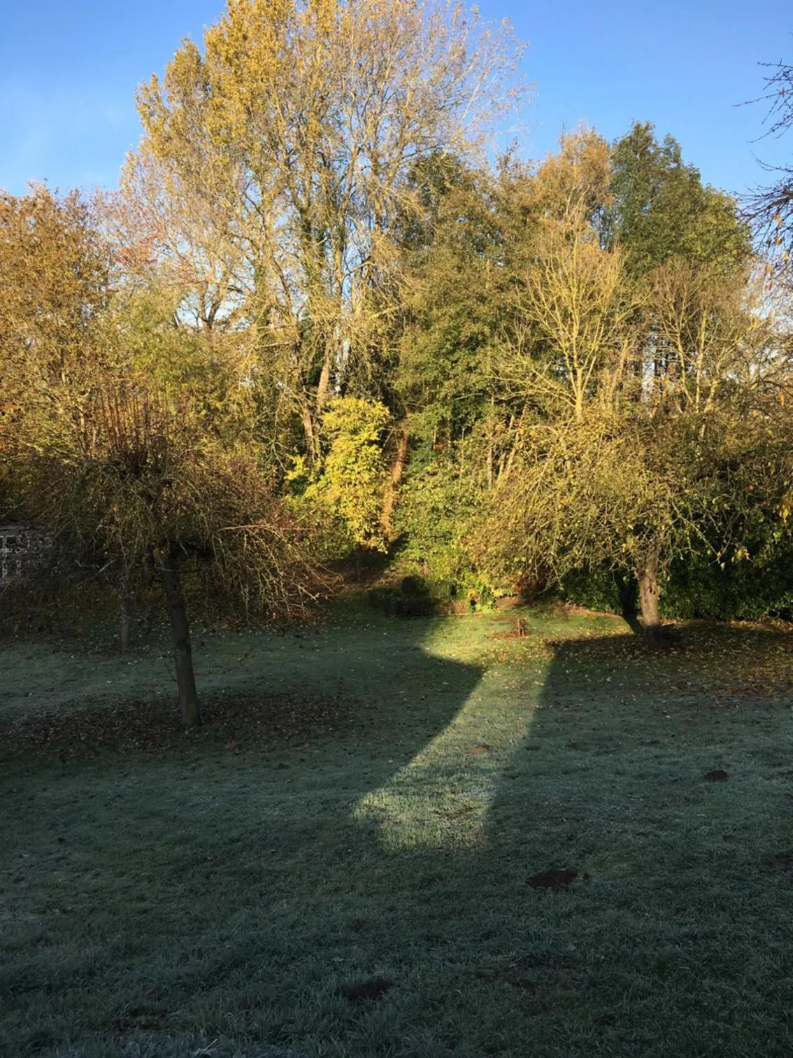 Swimming pool in Au Calme de Hosdent