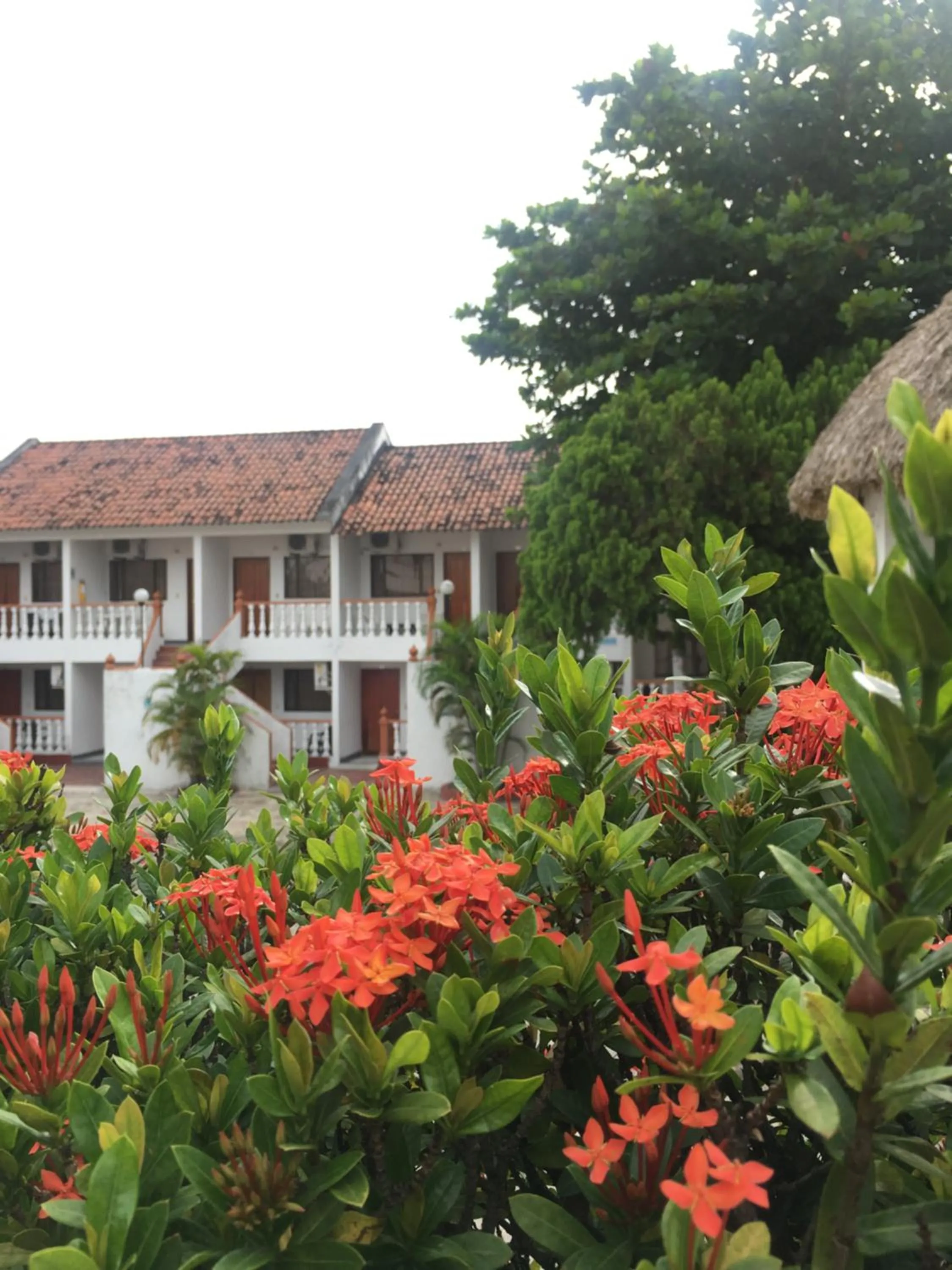 Alborada Hotel Melgar