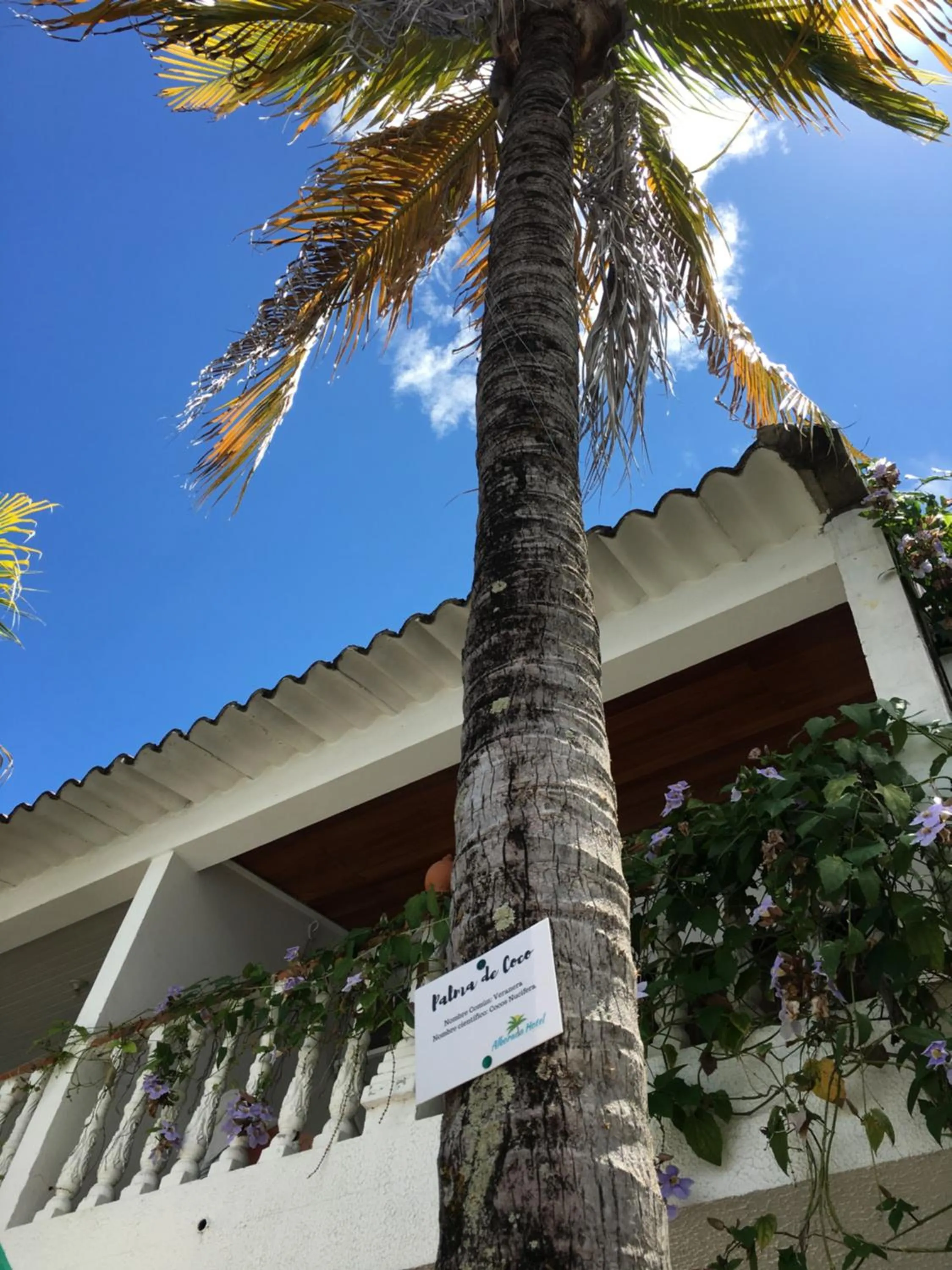 Alborada Hotel Melgar