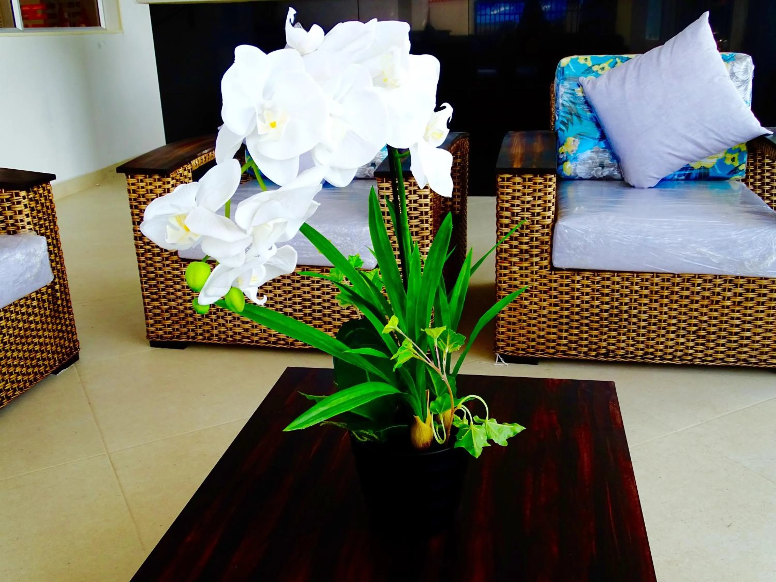 Alborada Hotel Melgar
