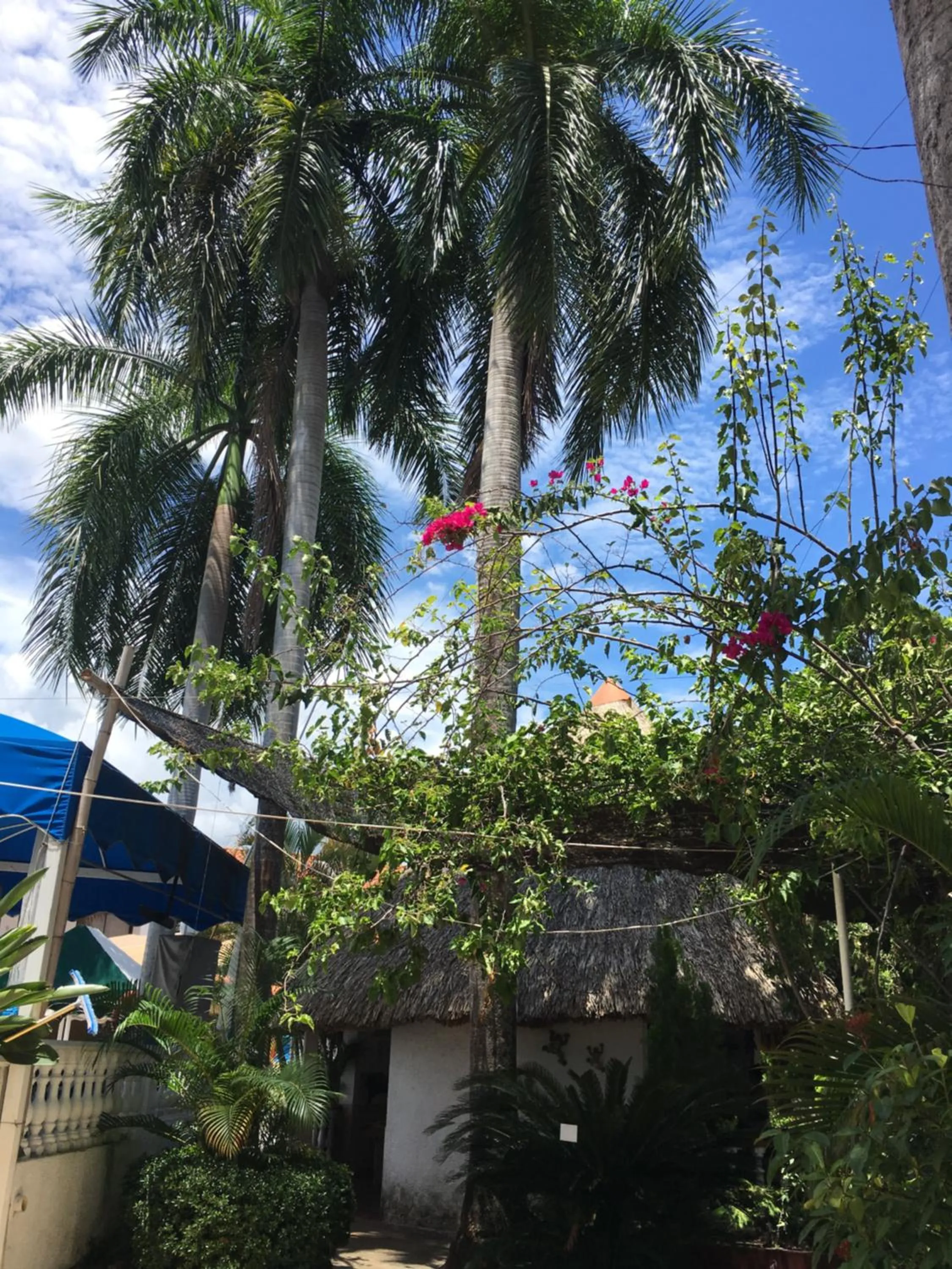 Alborada Hotel Melgar