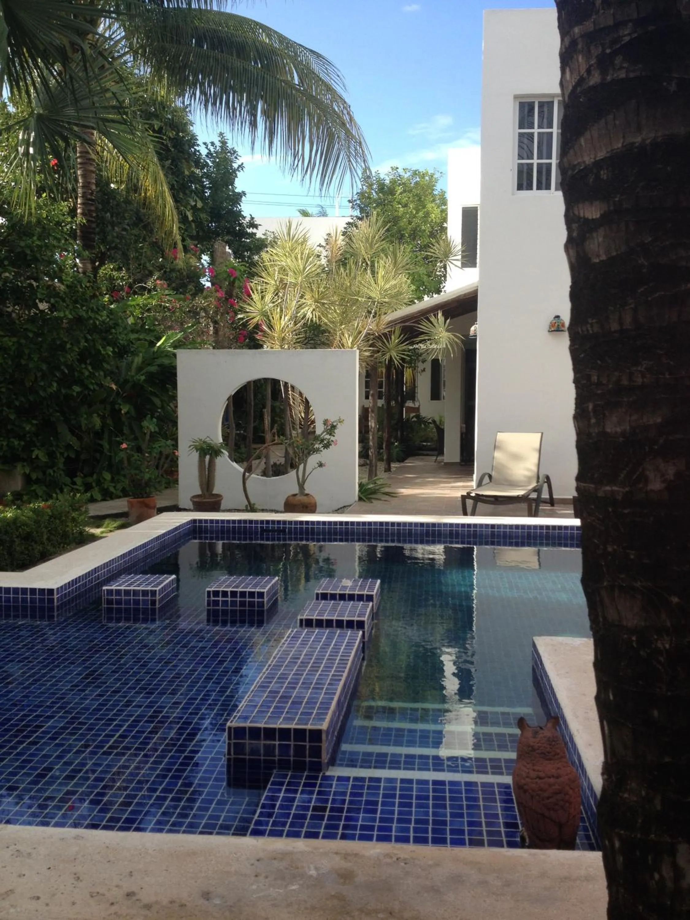 Swimming pool in Villa Escondida Guest House Cozumel Downtown
