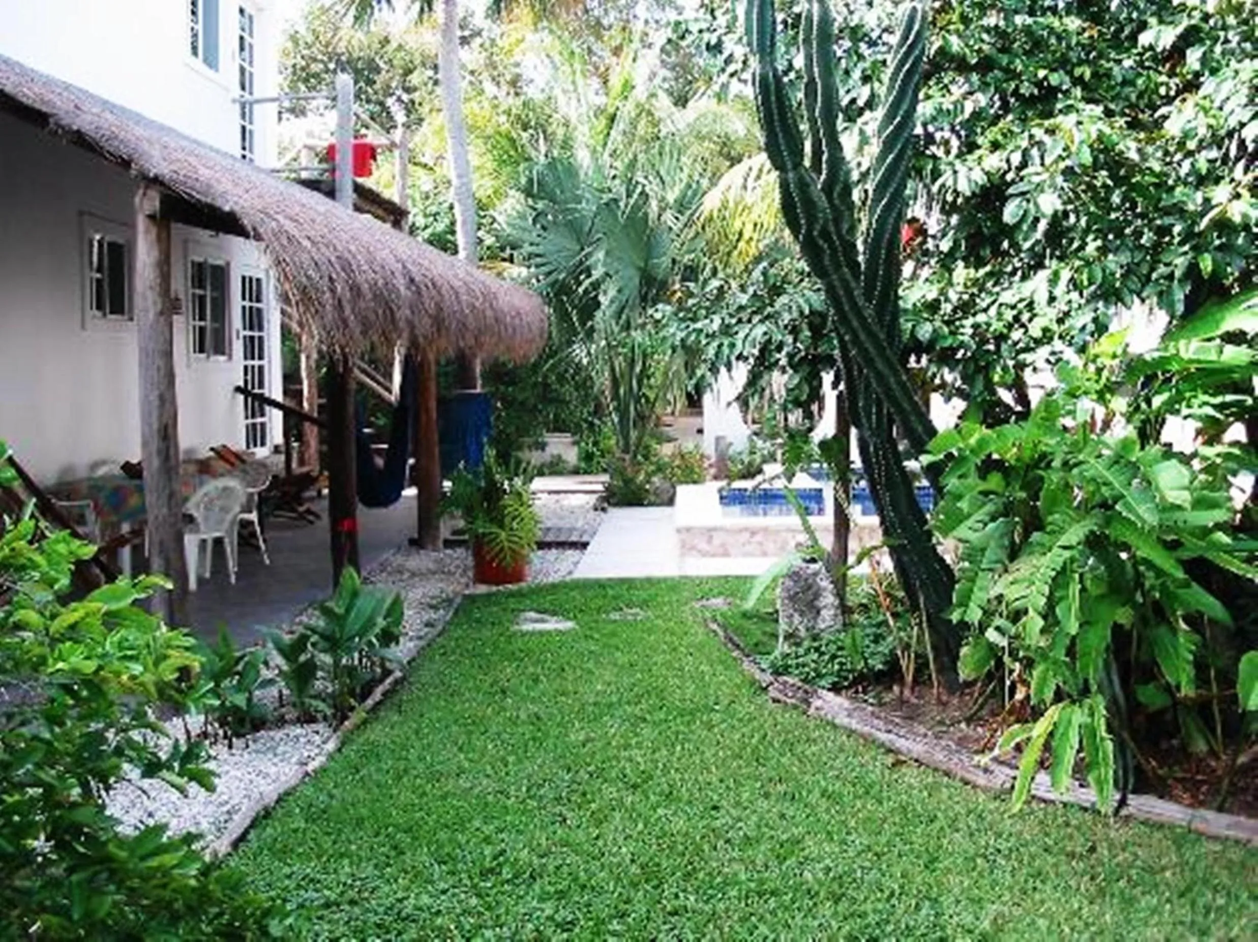 Garden in Villa Escondida Guest House Cozumel Downtown