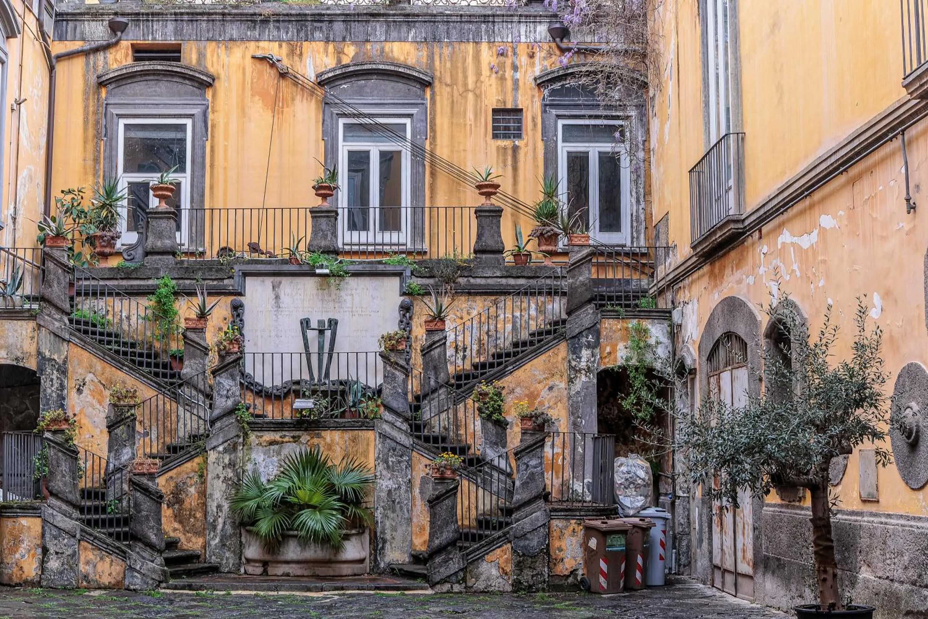 Activities in casajammone naples b&b