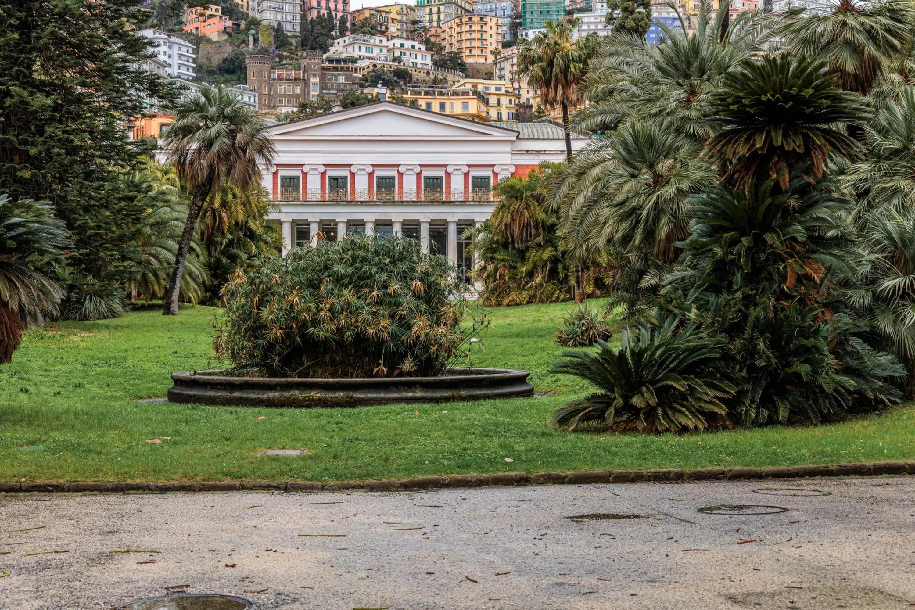 Activities in casajammone naples b&b