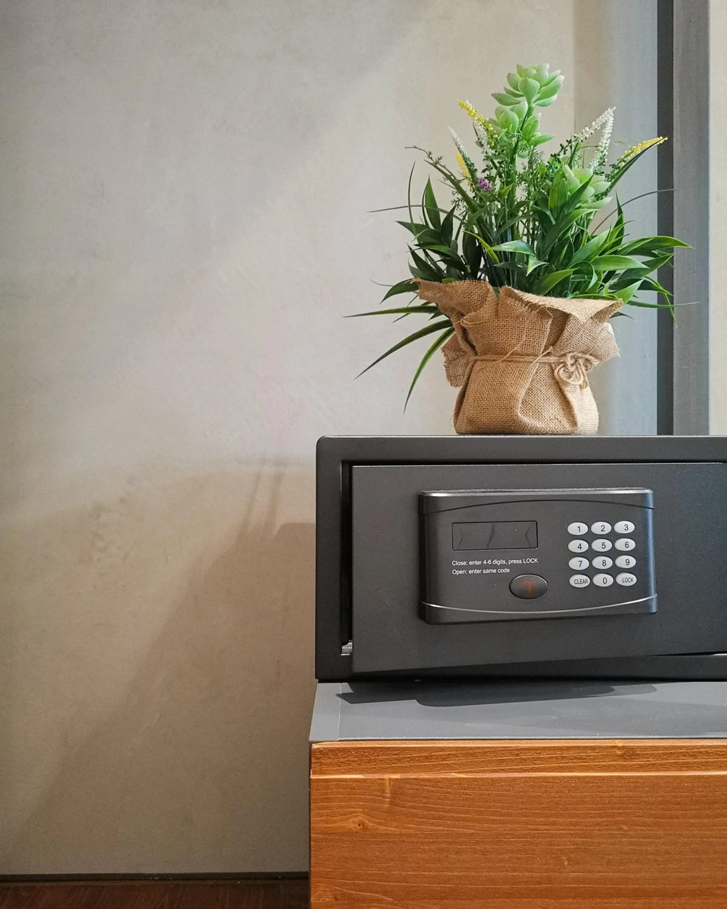 safe in casajammone naples b&b