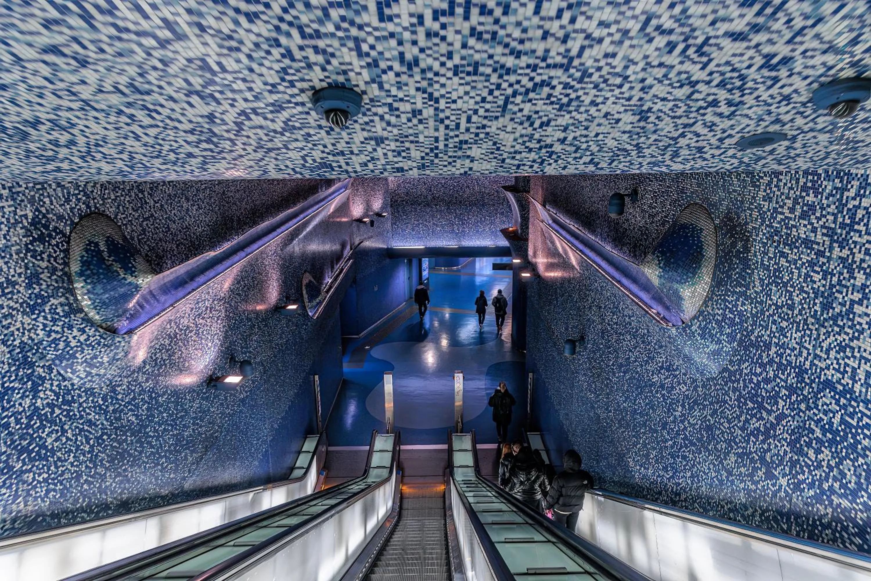 Activities in casajammone naples b&b