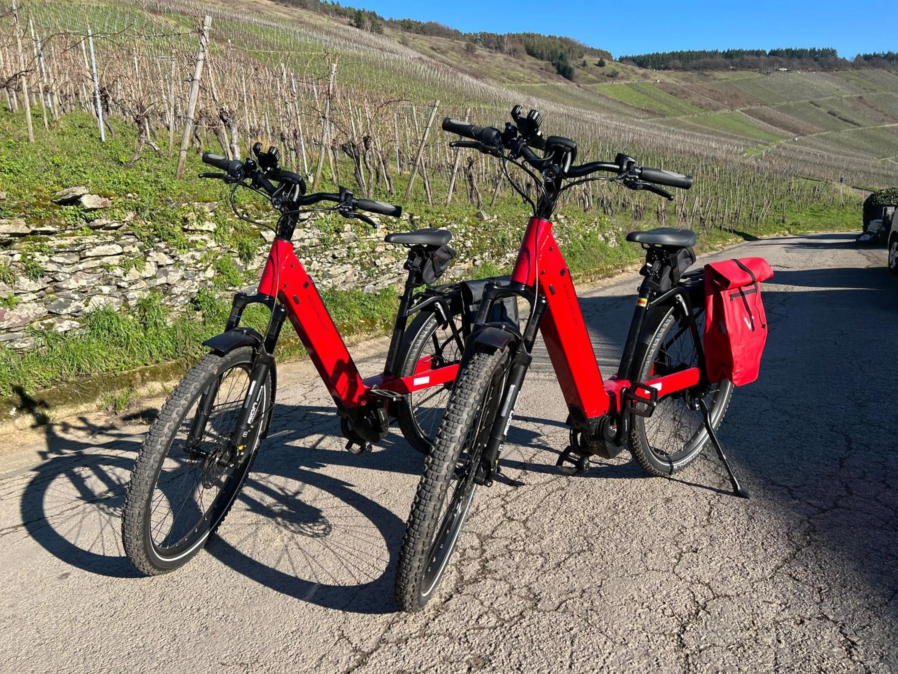 Cycling in Weingut-Aparthotel Olinger