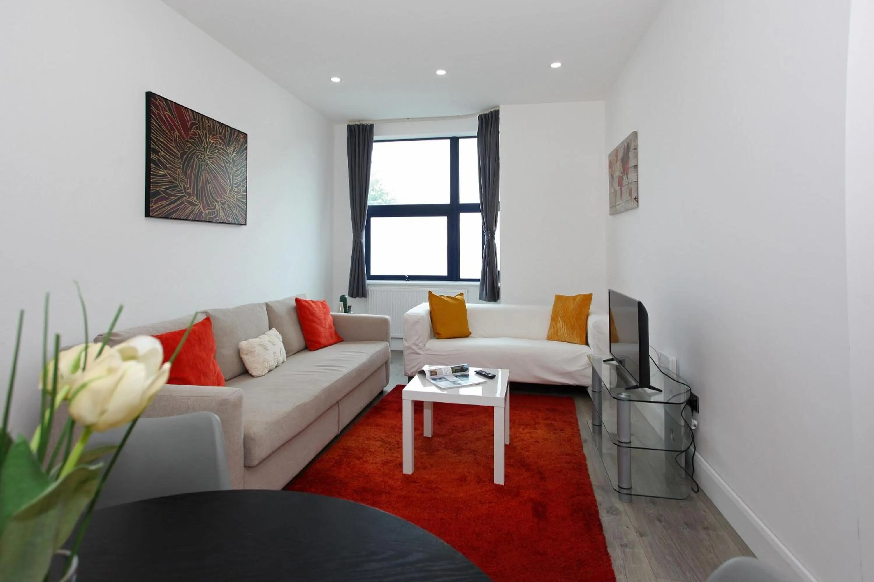 TV and multimedia in Sapphire House Apartments