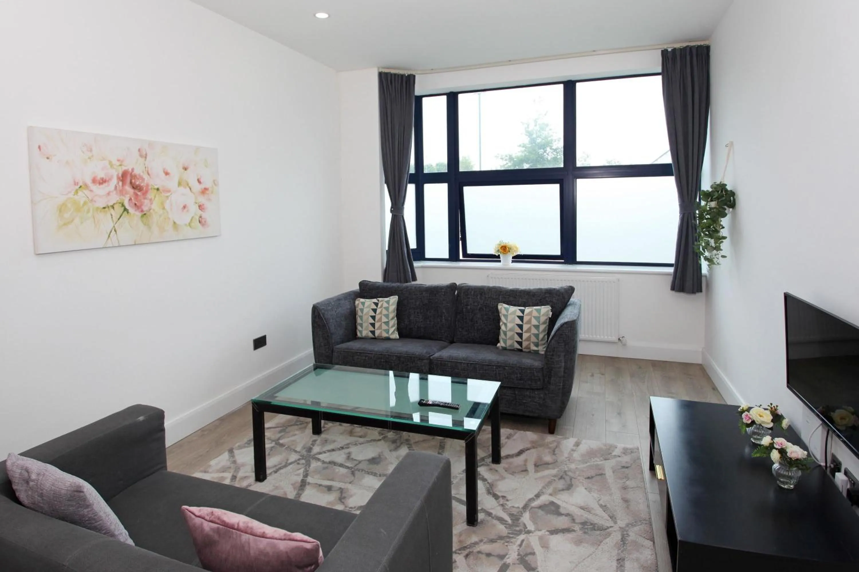 TV and multimedia in Sapphire House Apartments