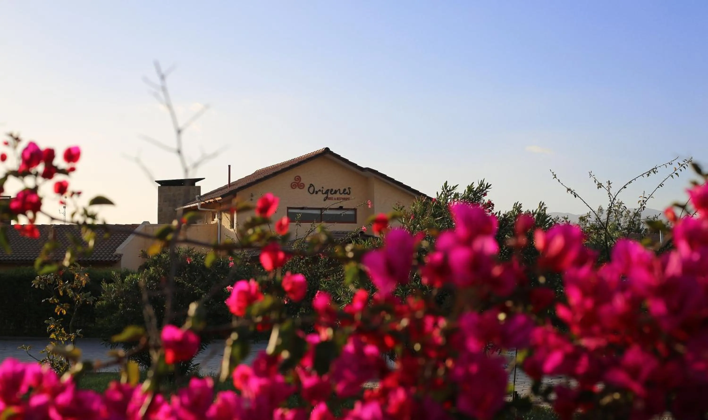 Property building in Hotel Origenes