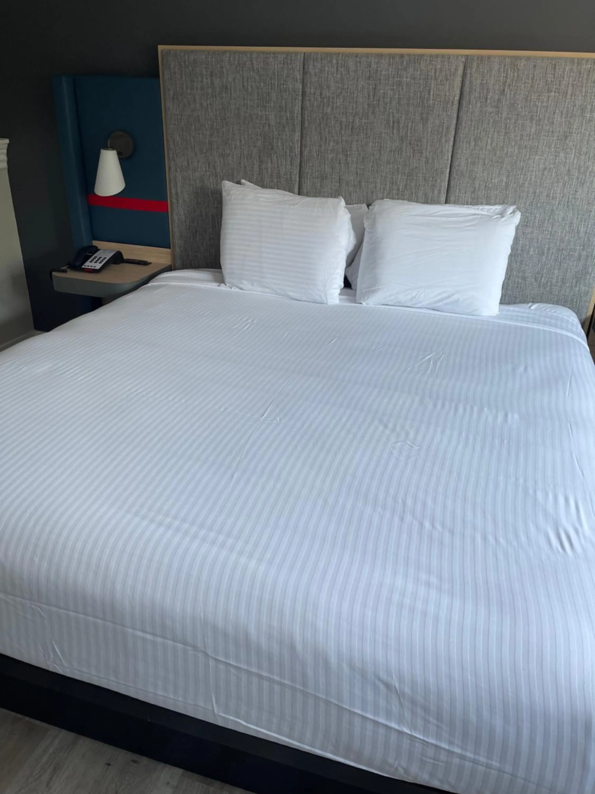 Bed in The Midtowner Hotel, SureStay Collection by Best Western