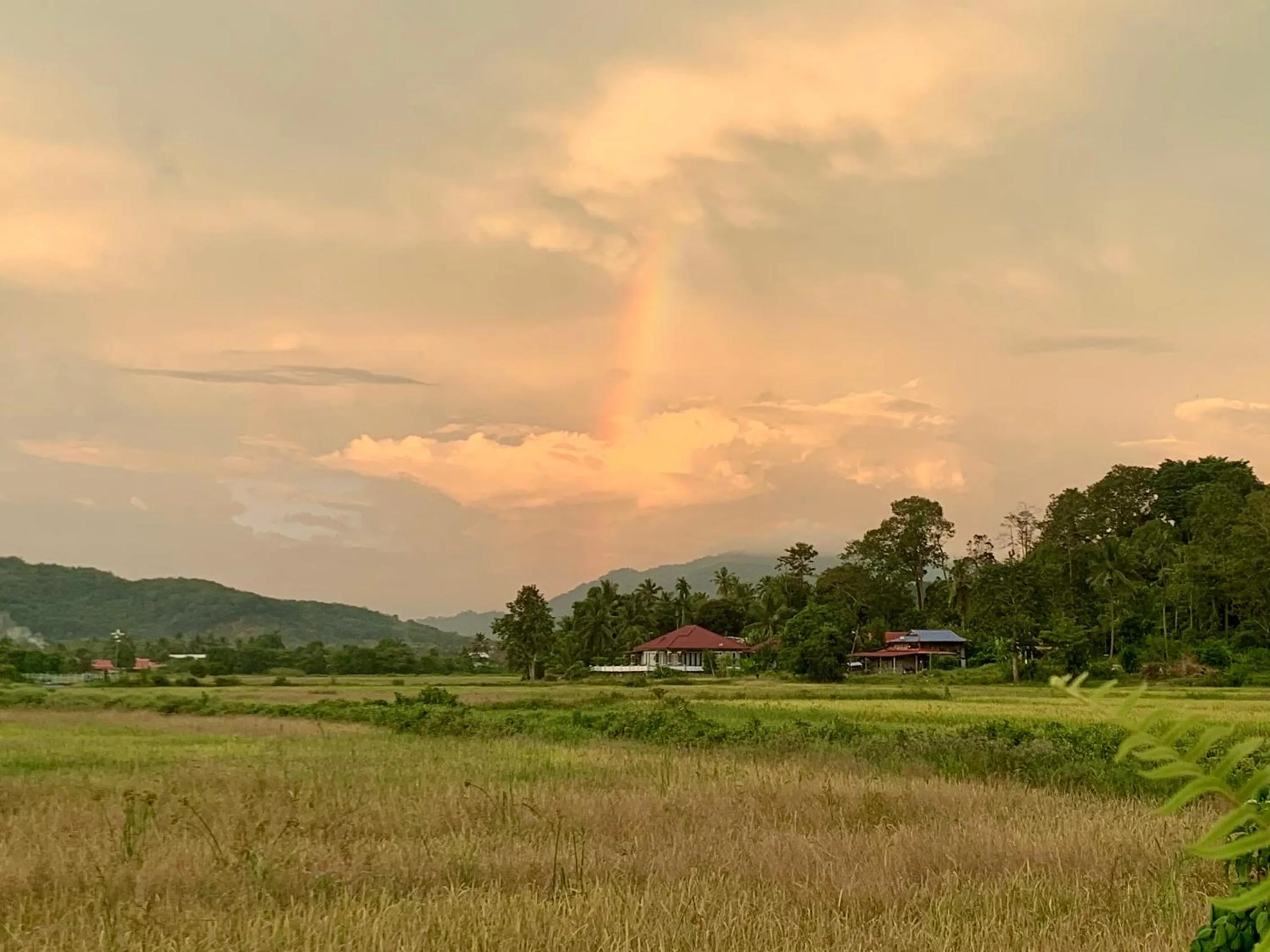 Natural landscape in The Paddy Field - Private Pool Villas