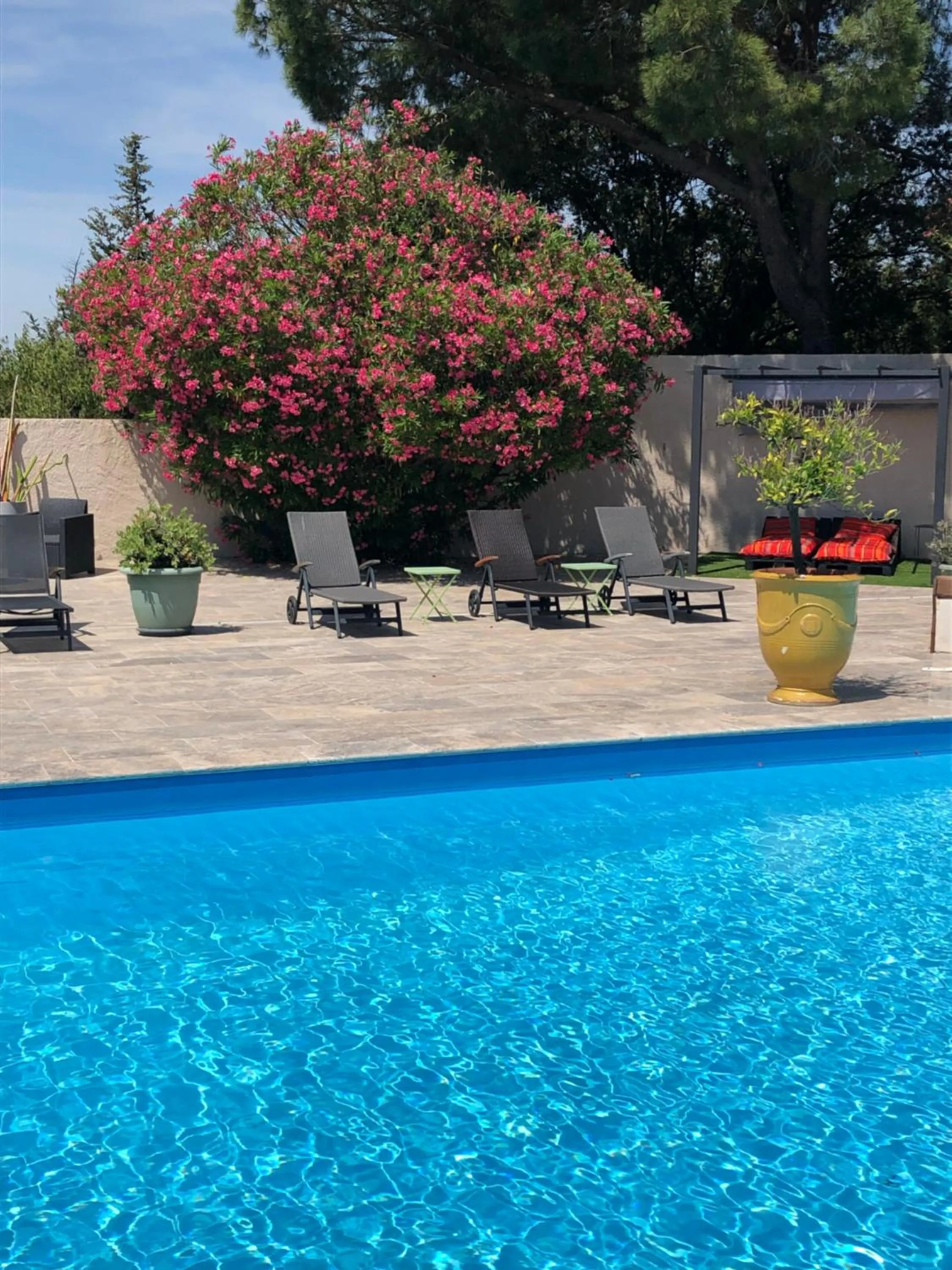 Swimming pool in Logis Hôtel Restaurant Les Aubuns