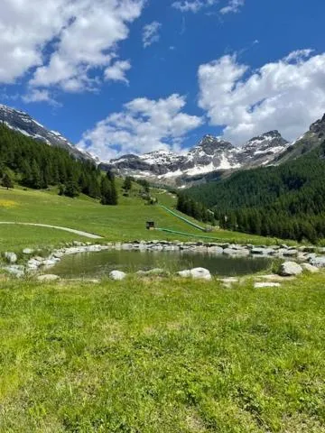 Edelweiss Hotel Champoluc