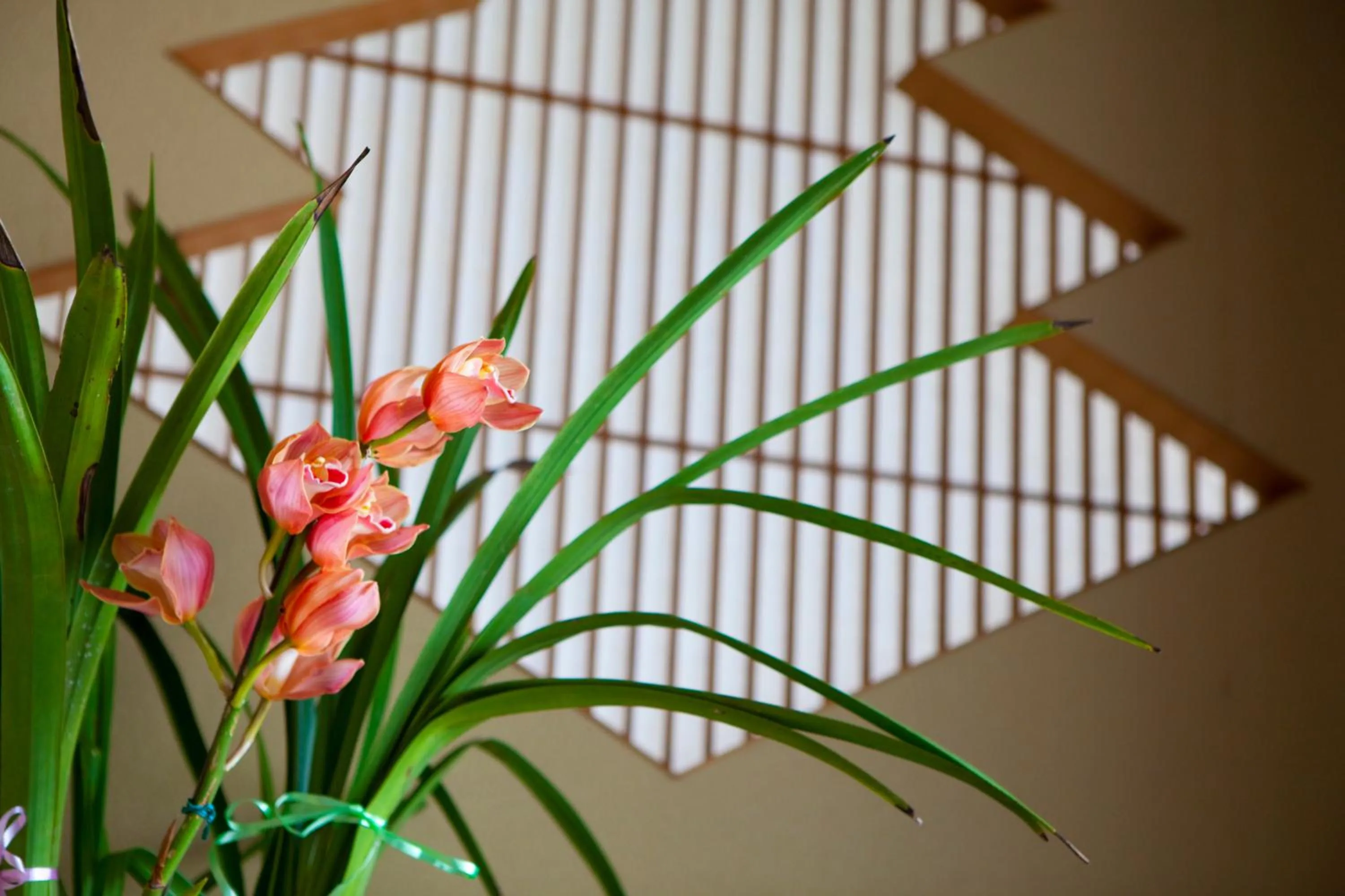 Decorative detail in Hinodeya