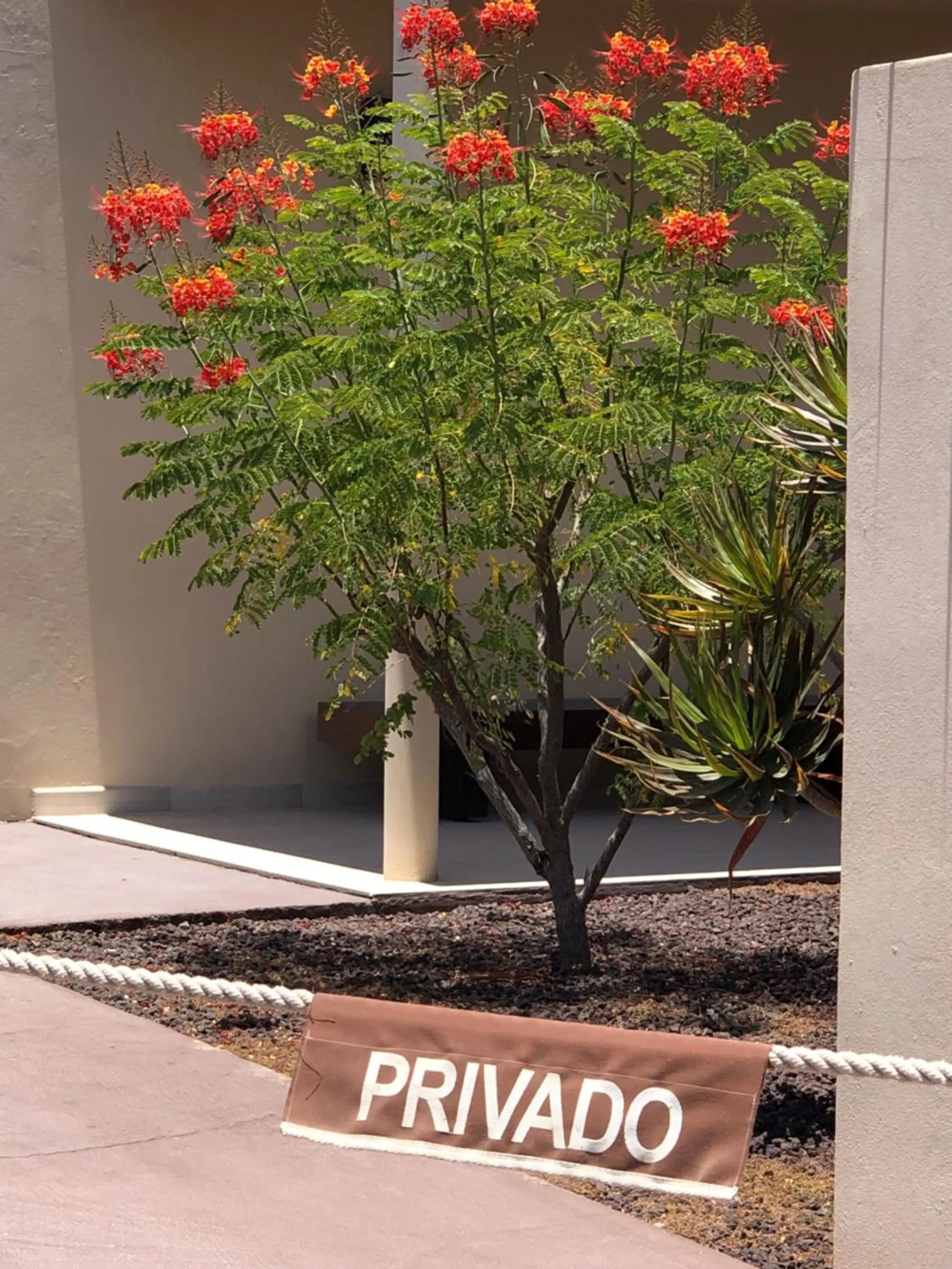 Facade/entrance in Fuertevillage